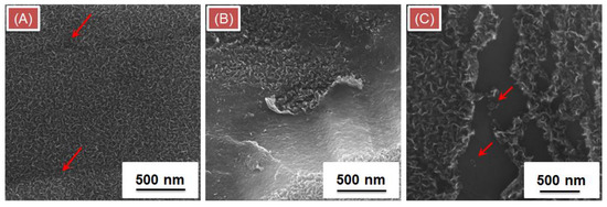 Coatings 09 00060 g0a4