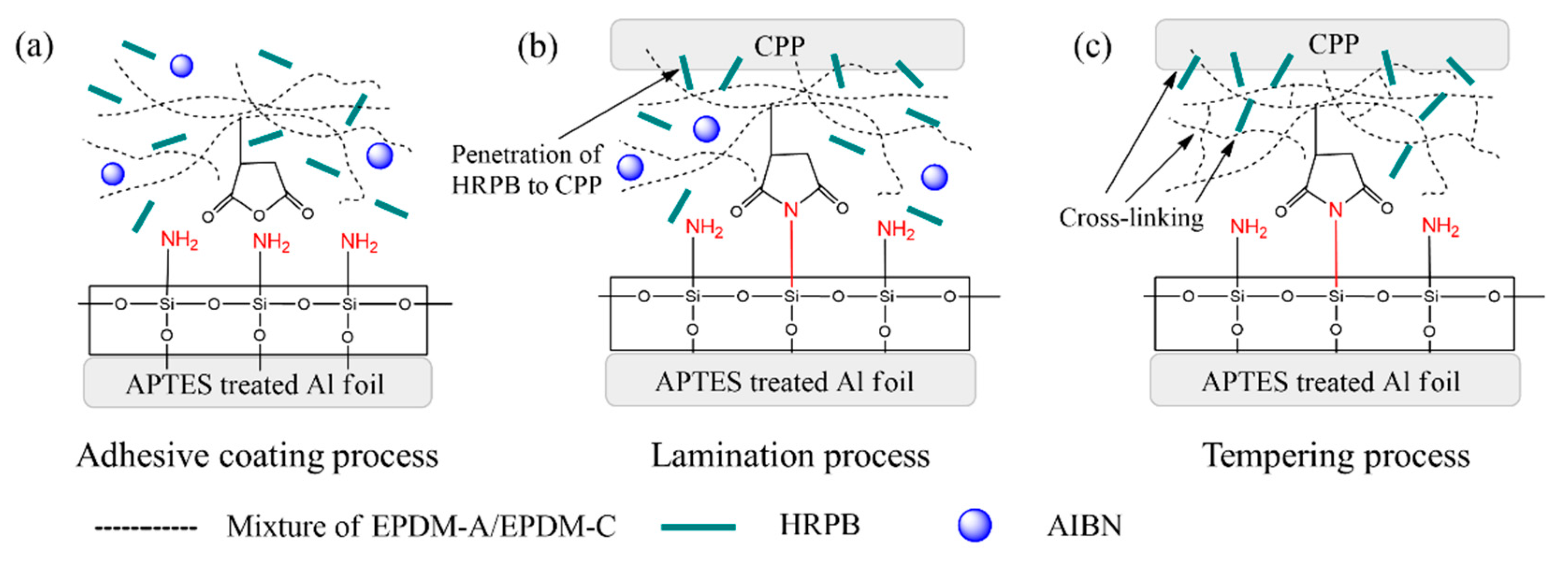 Coatings 09 00061 g002