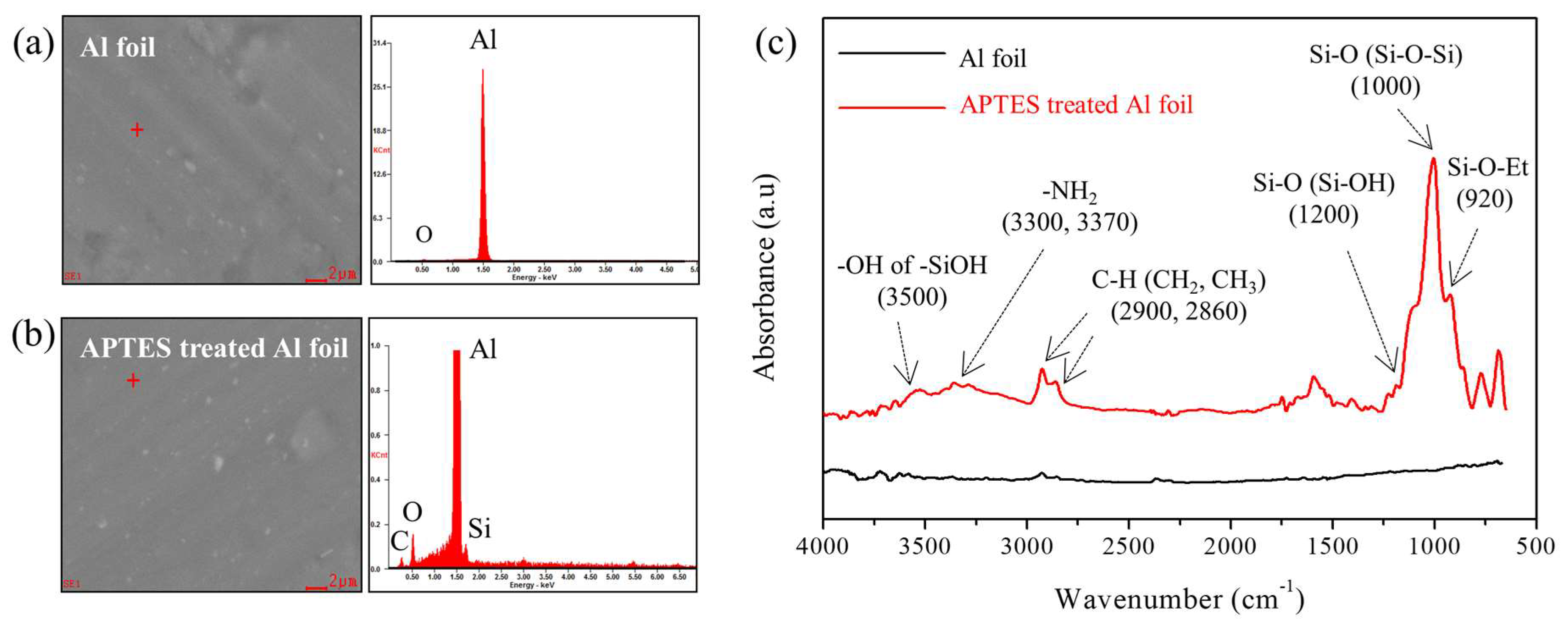 Coatings 09 00061 g007
