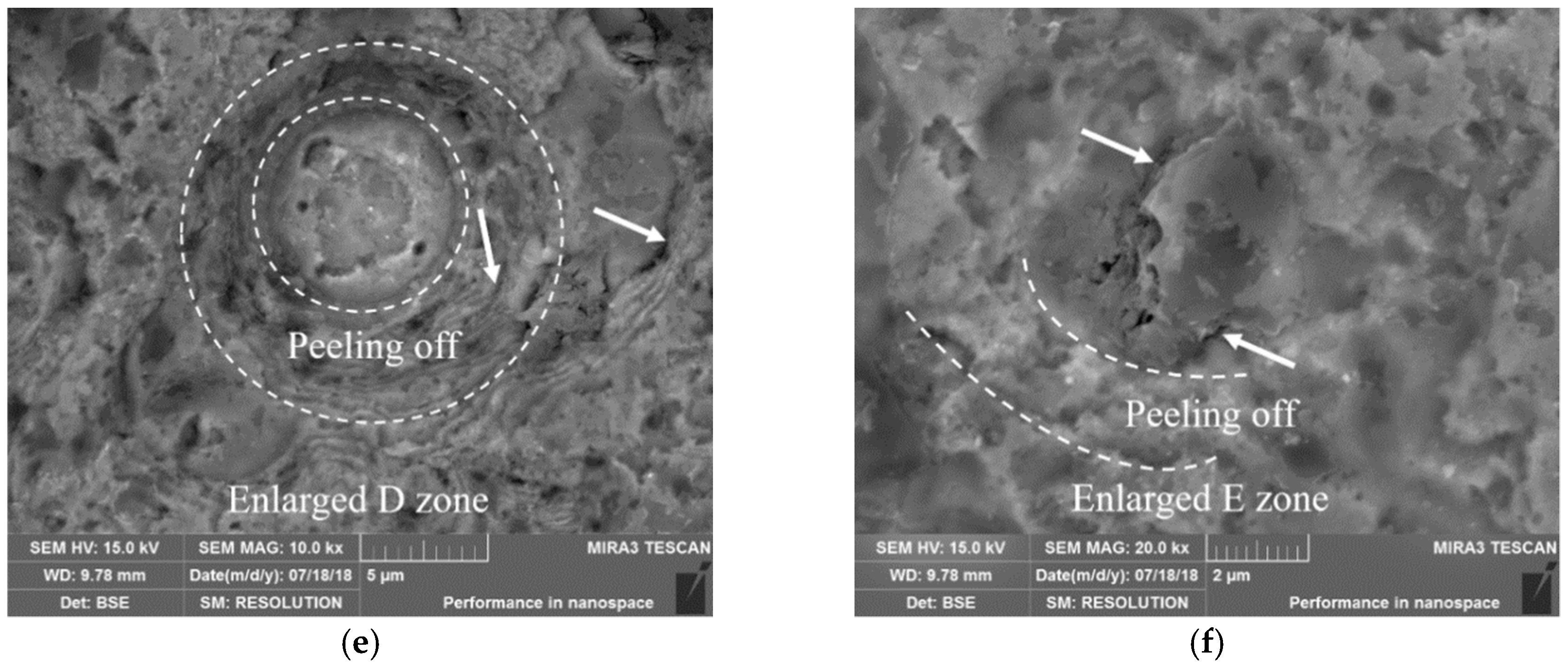 Coatings 09 00064 g006b