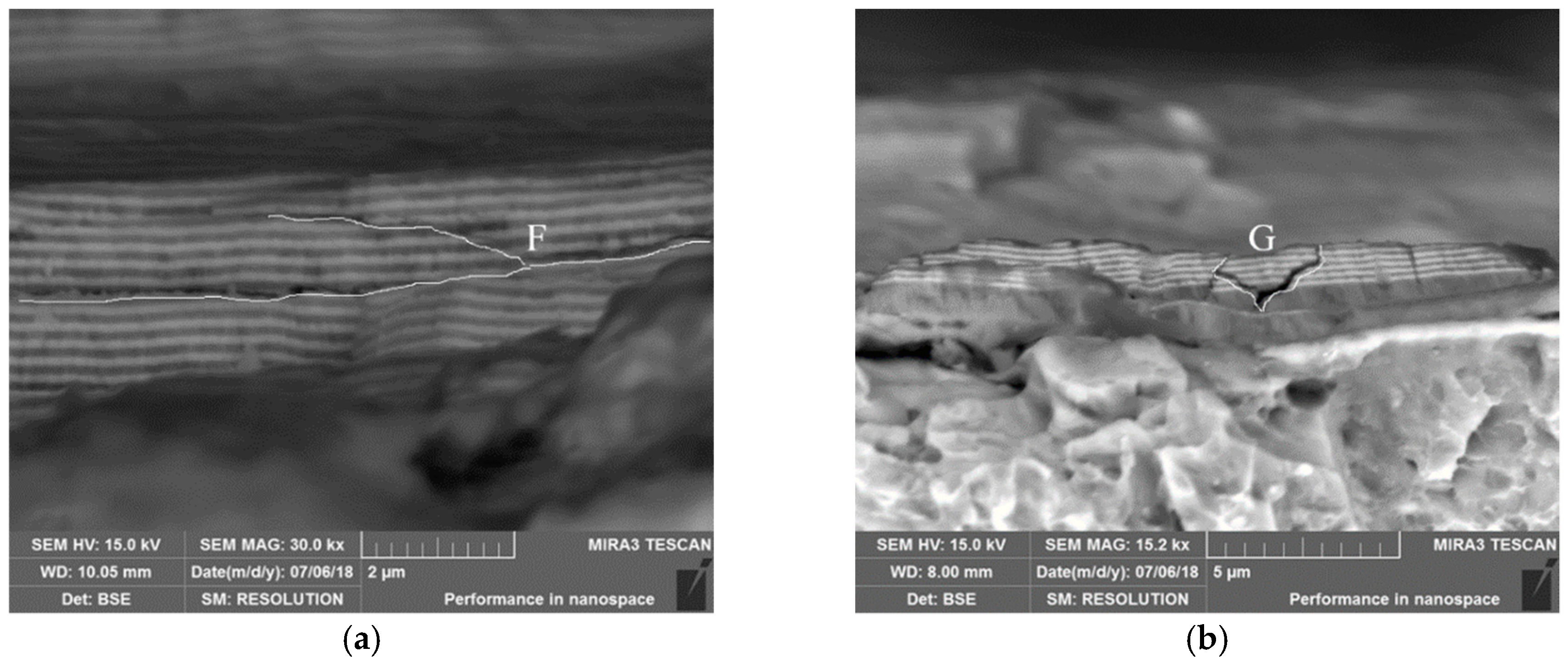 Coatings 09 00064 g007