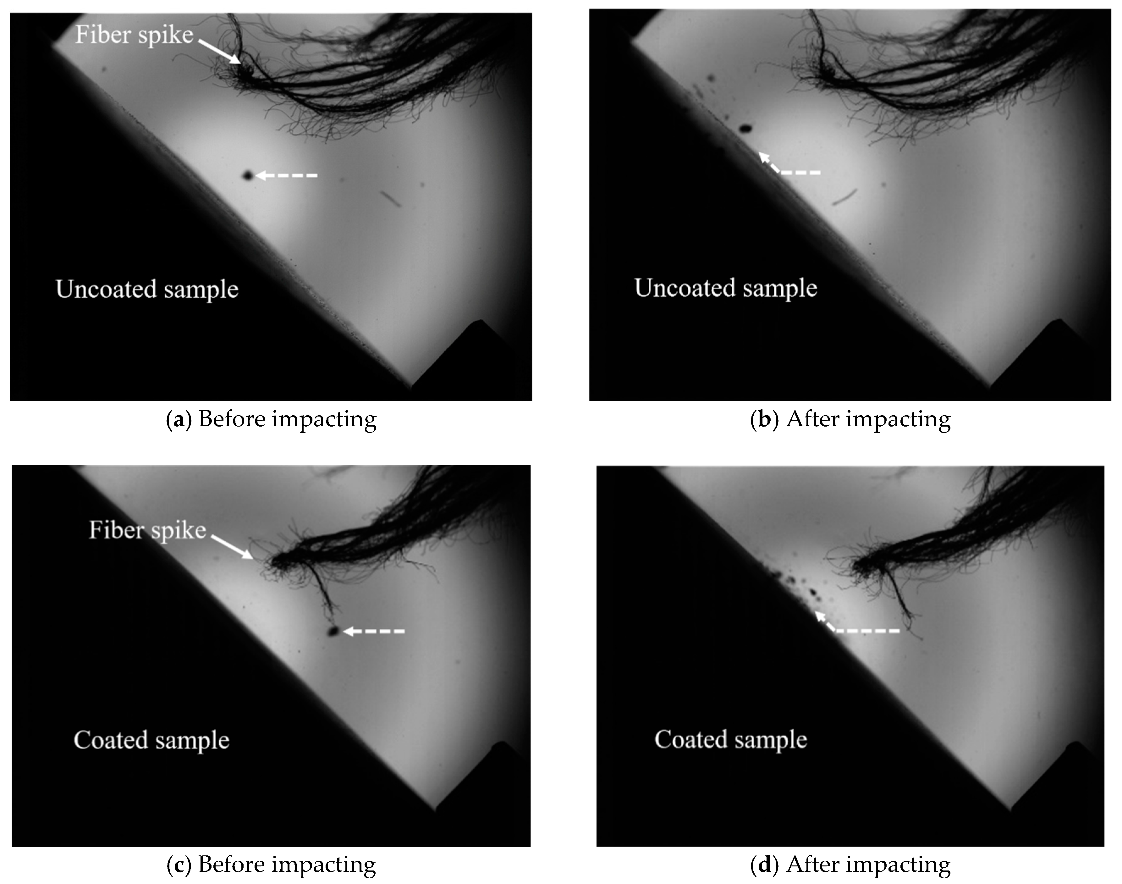 Coatings 09 00064 g008
