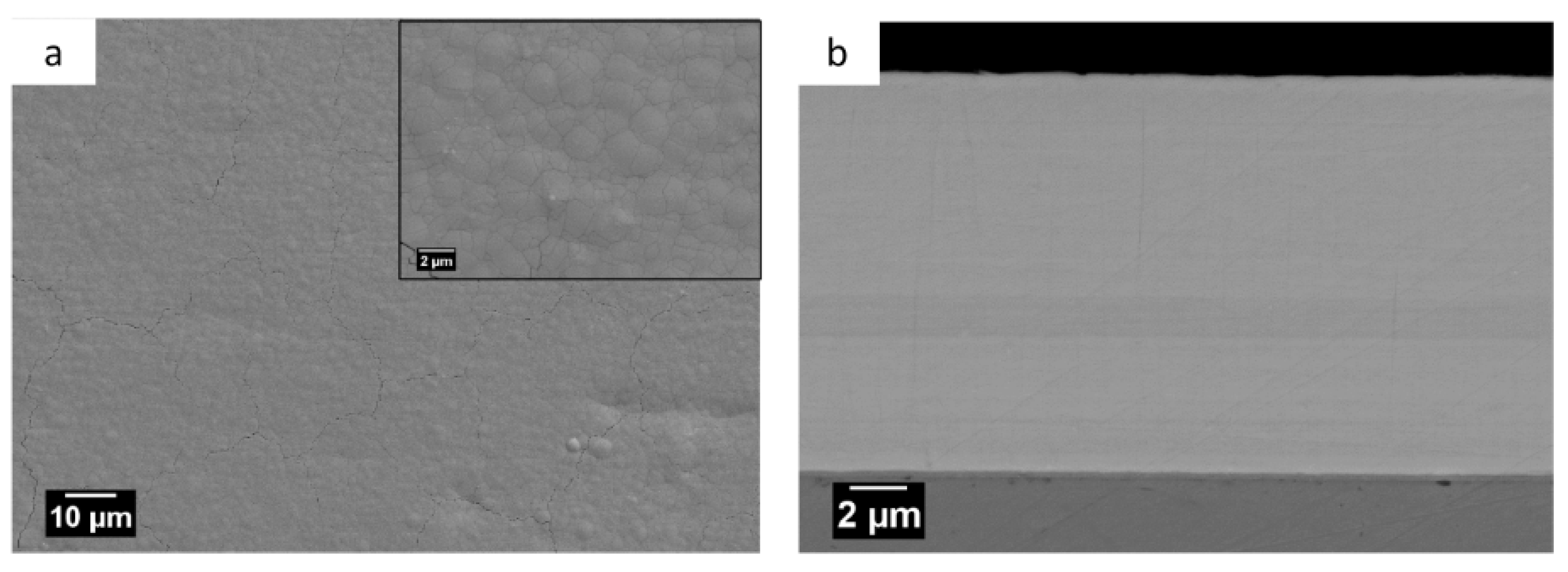 Coatings 09 00066 g001