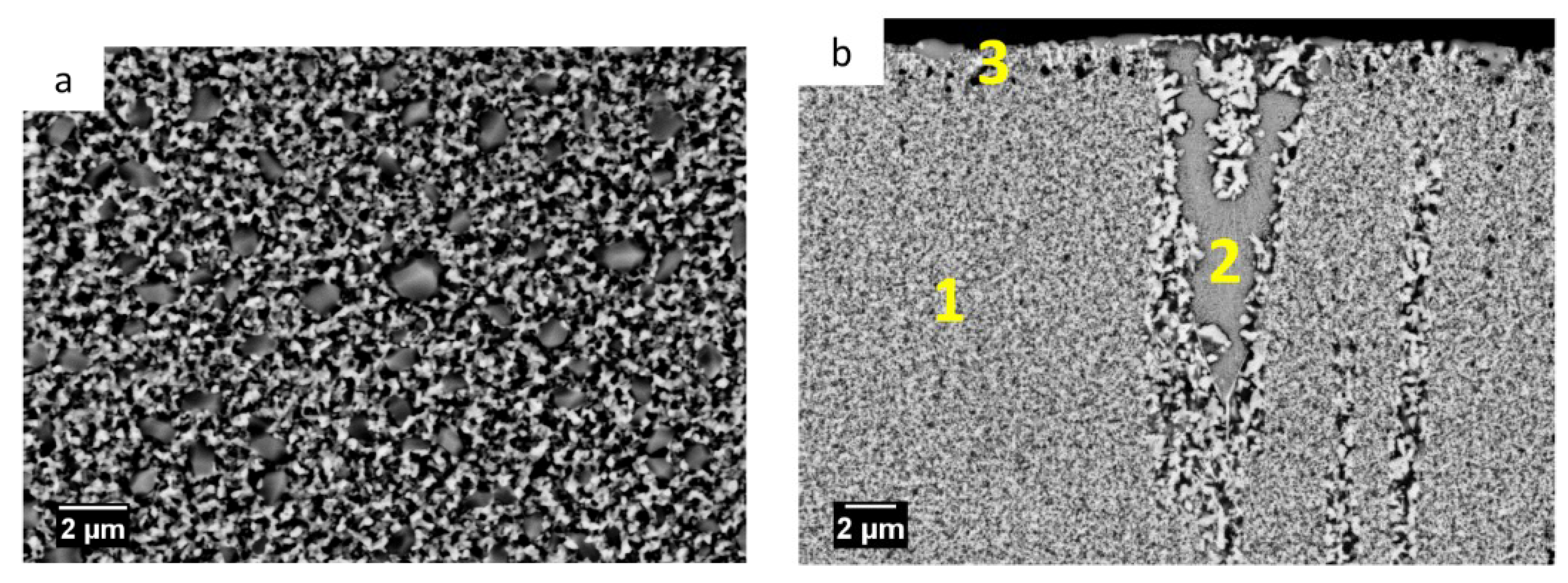 Coatings 09 00066 g003