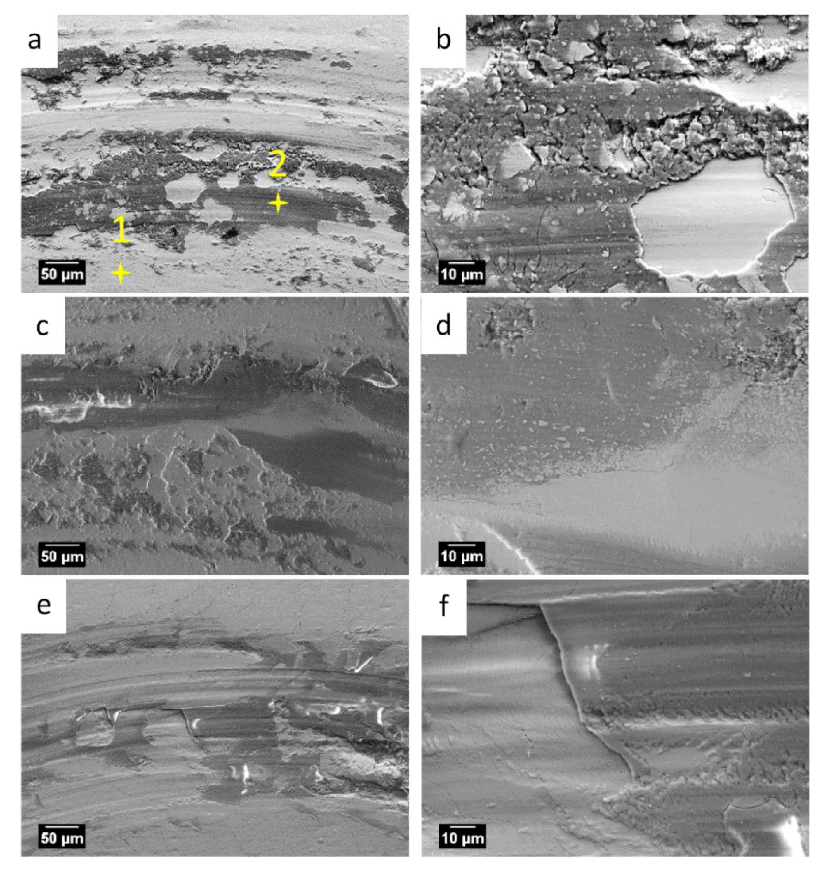 Coatings 09 00066 g009a