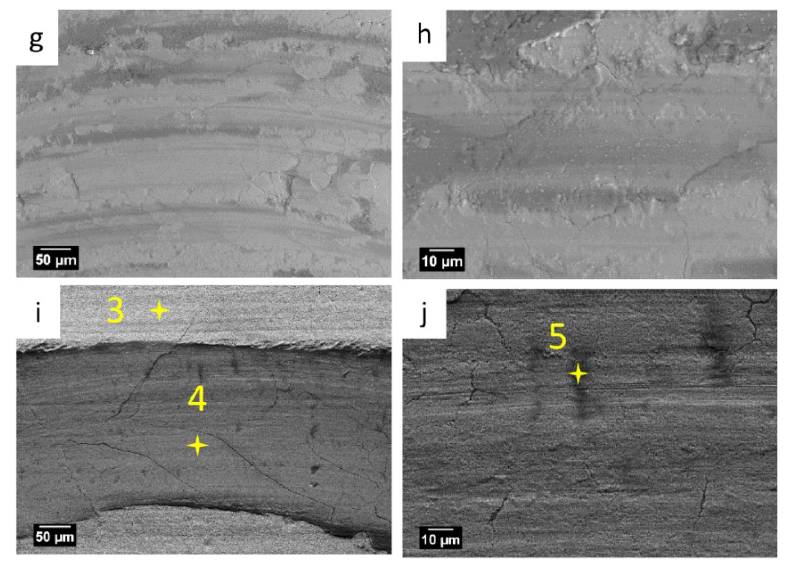 Coatings 09 00066 g009b