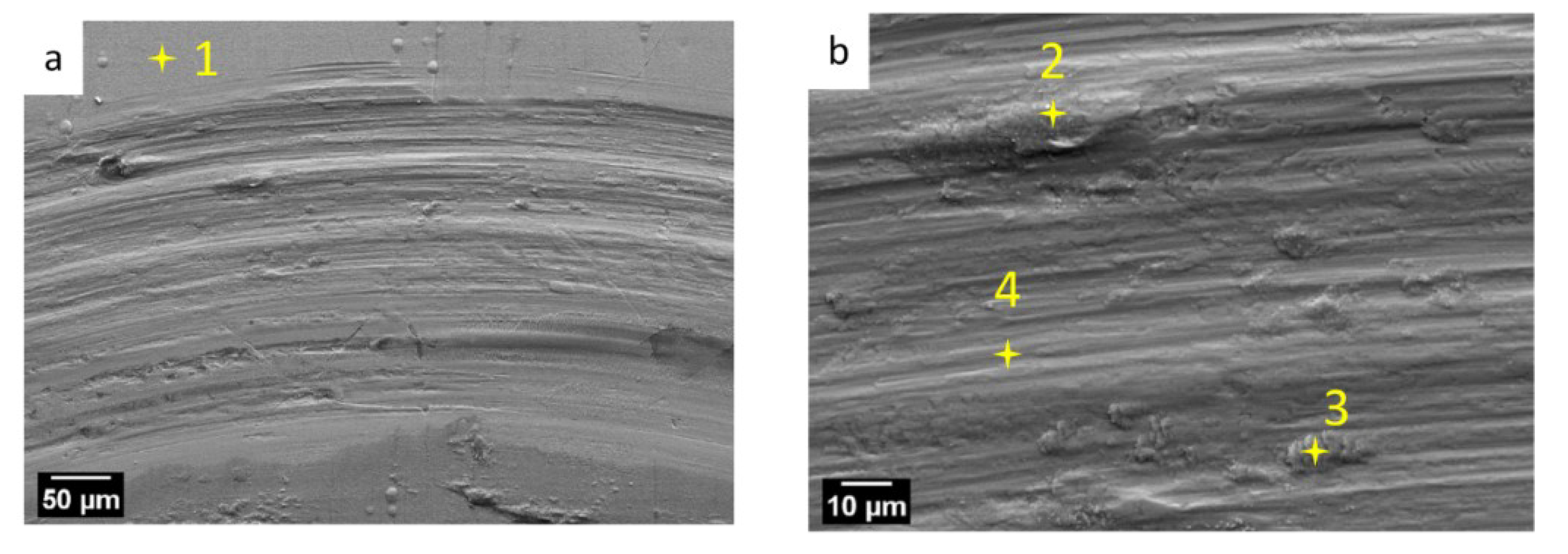 Coatings 09 00066 g010