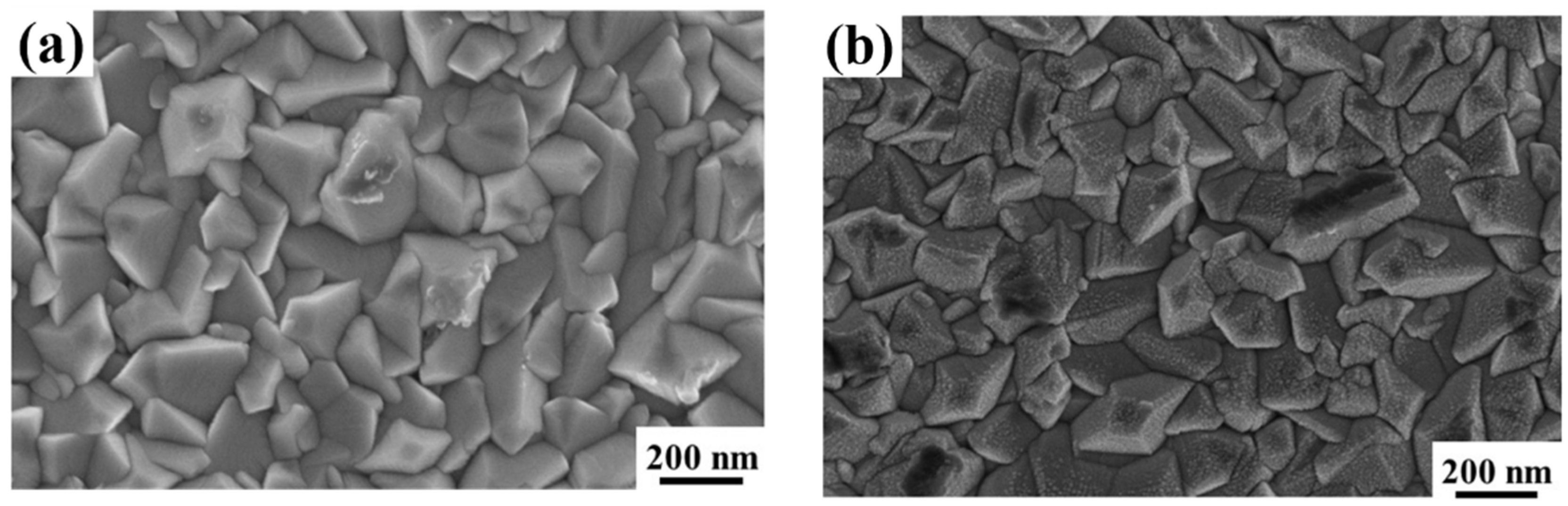 Coatings 09 00068 g003