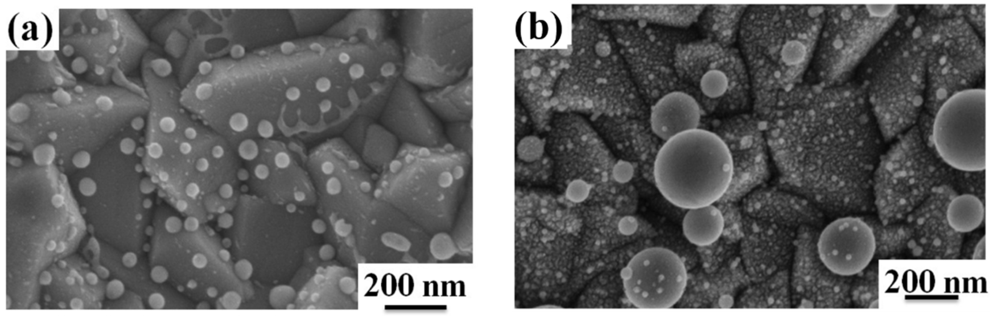 Coatings 09 00068 g004