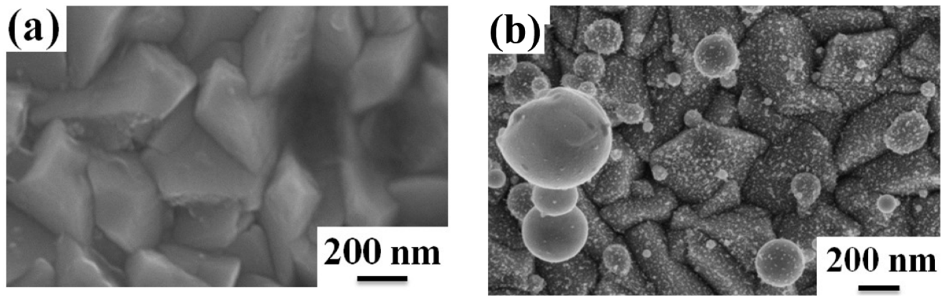 Coatings 09 00068 g005