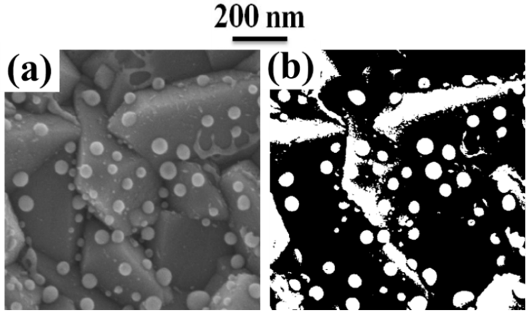 Coatings 09 00068 g006