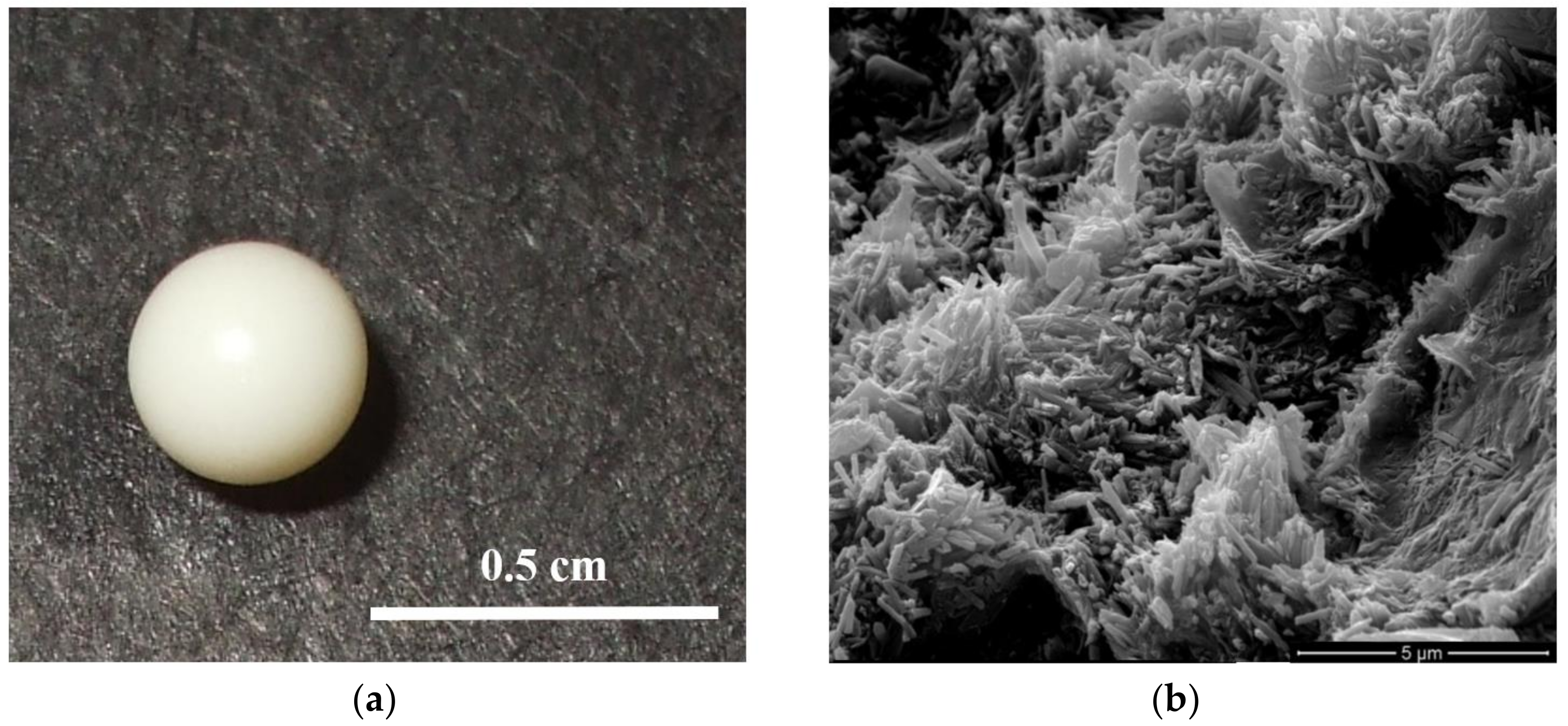 Coatings 09 00070 g001