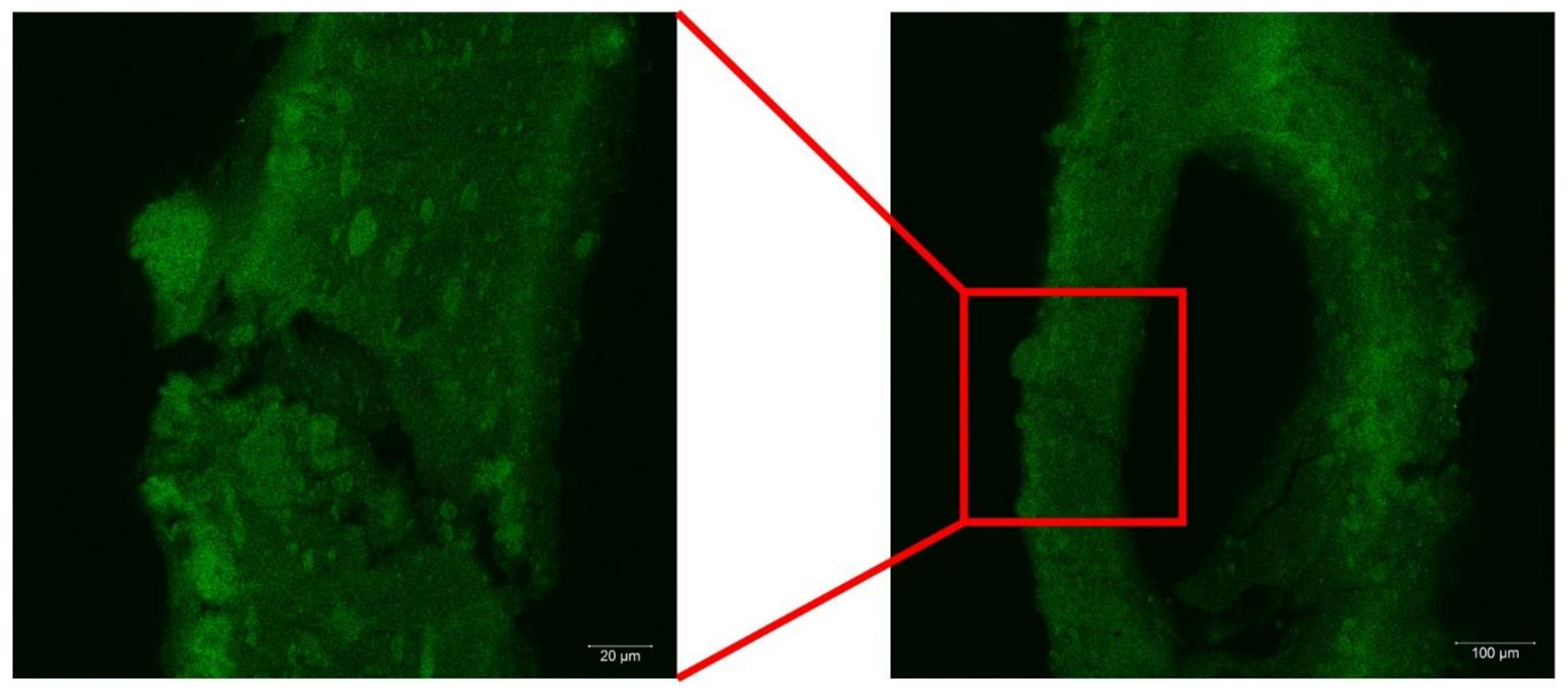 Coatings 09 00070 g002