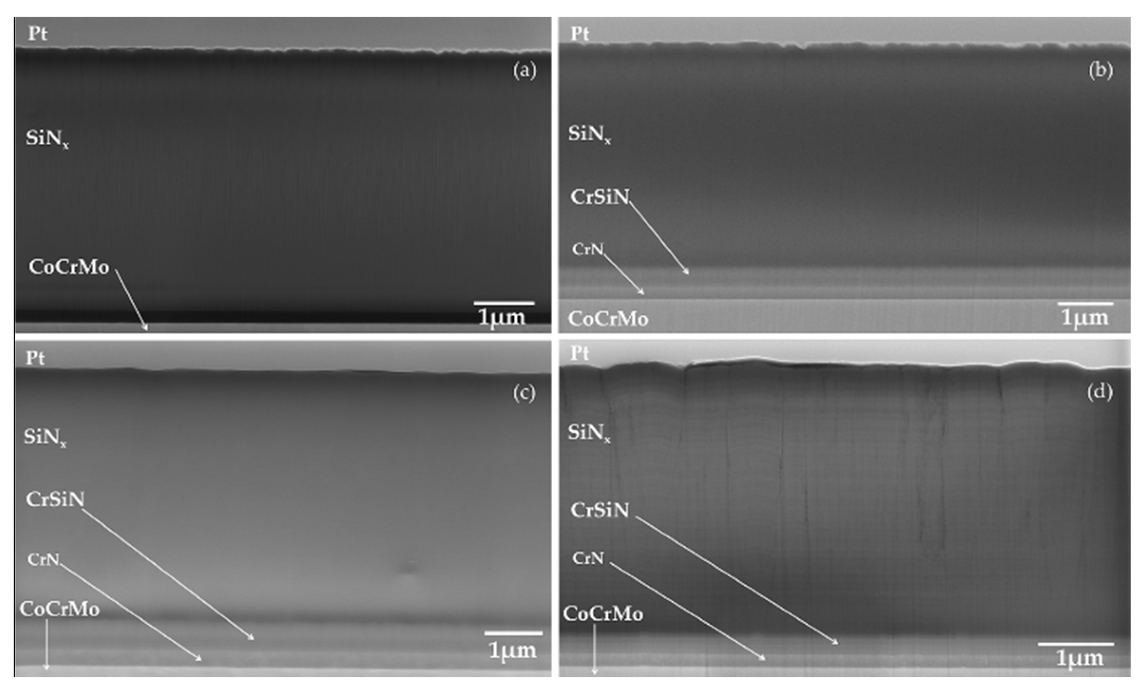 Coatings 09 00073 g002