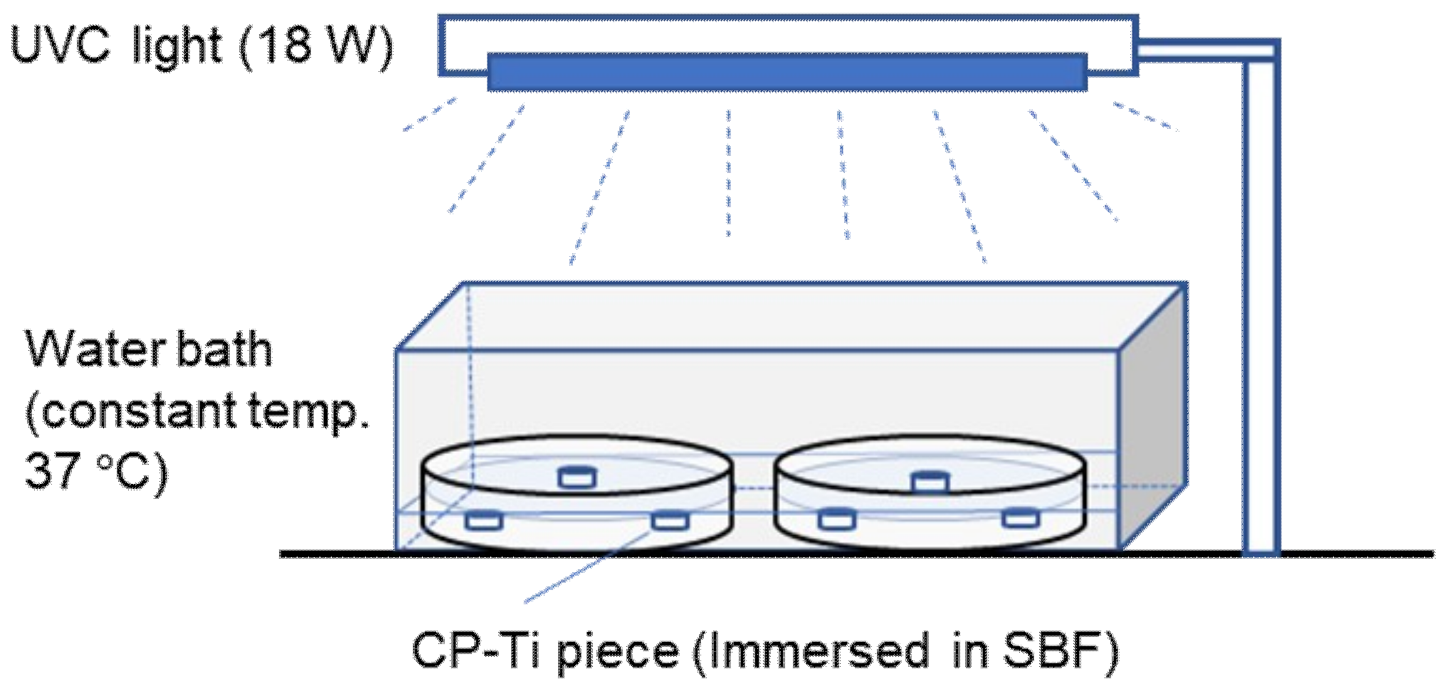 Coatings 09 00080 g001