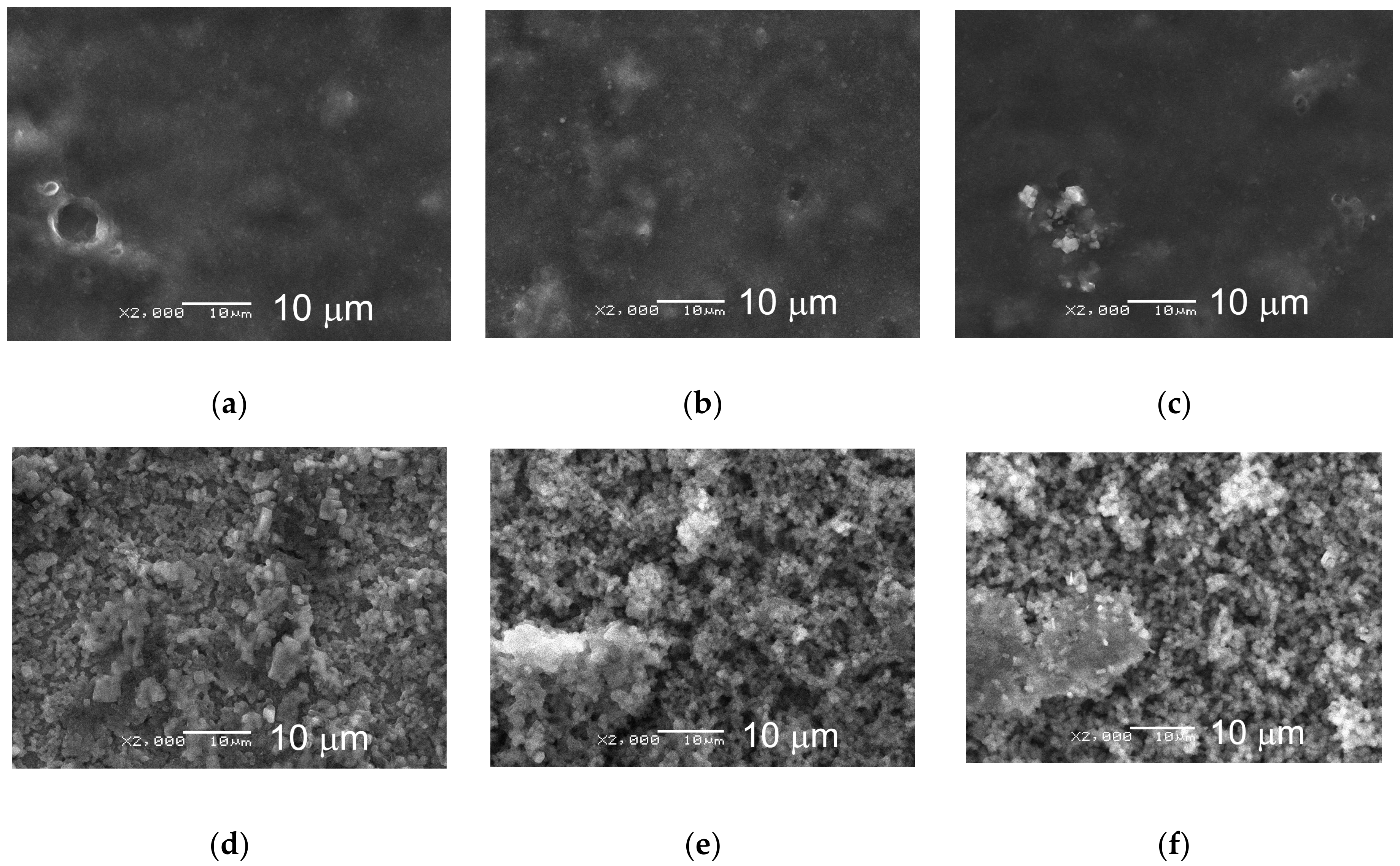 Coatings 09 00080 g005