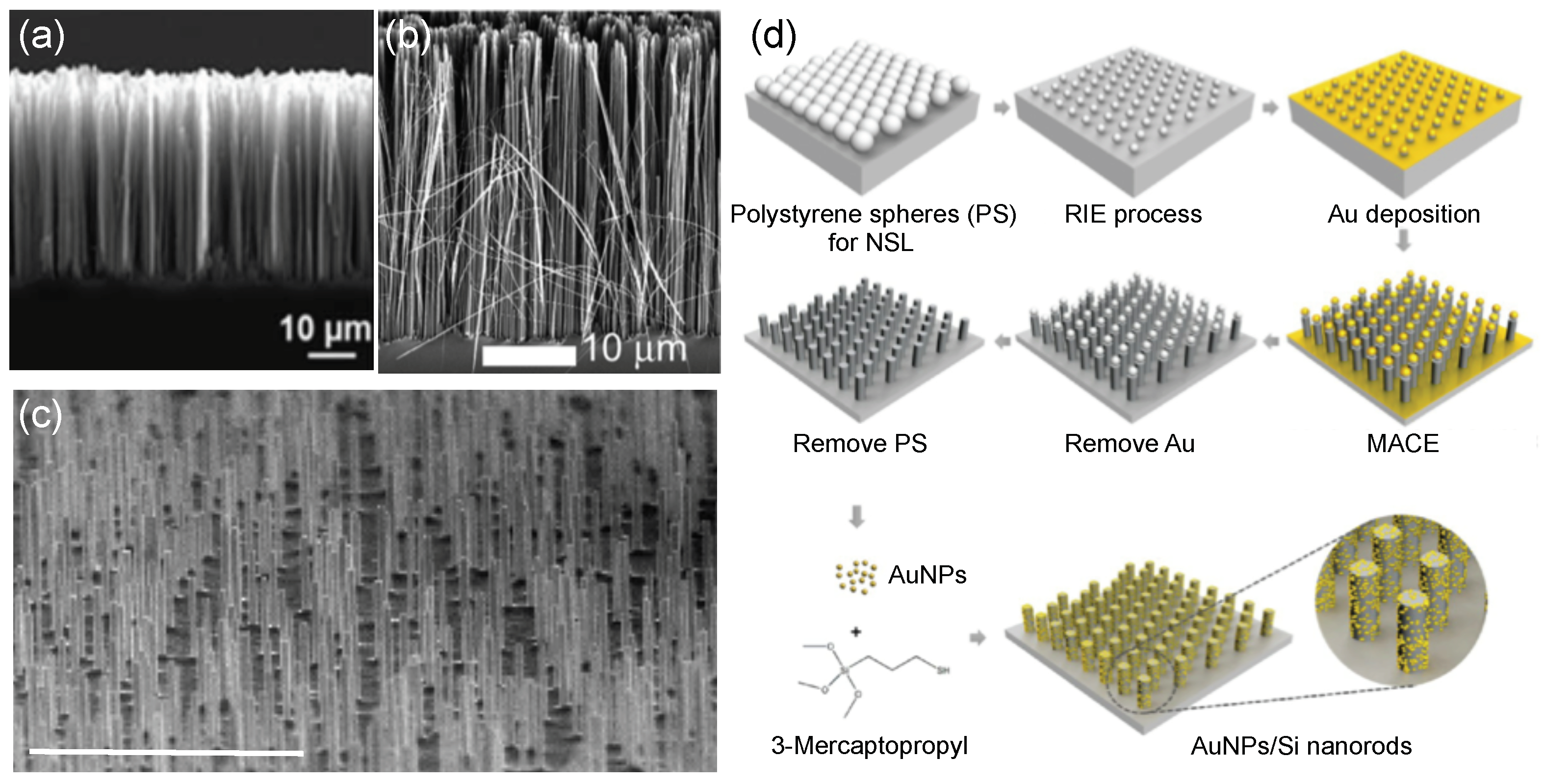 Coatings 09 00086 g001