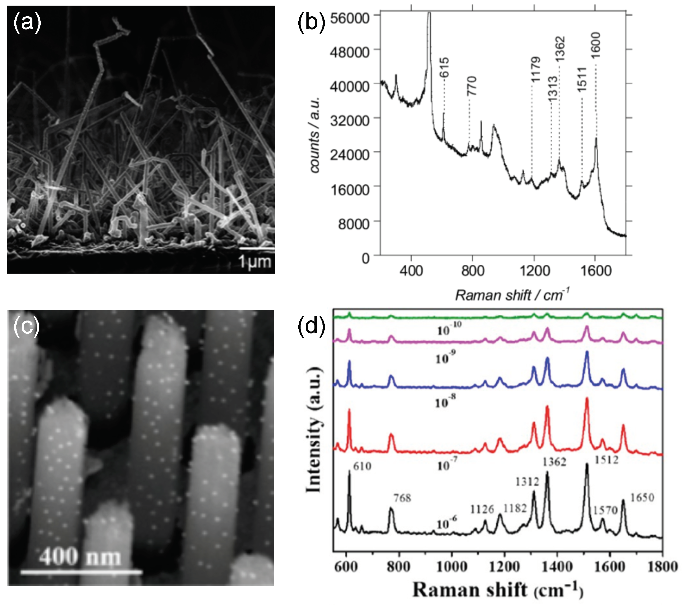 Coatings 09 00086 g002
