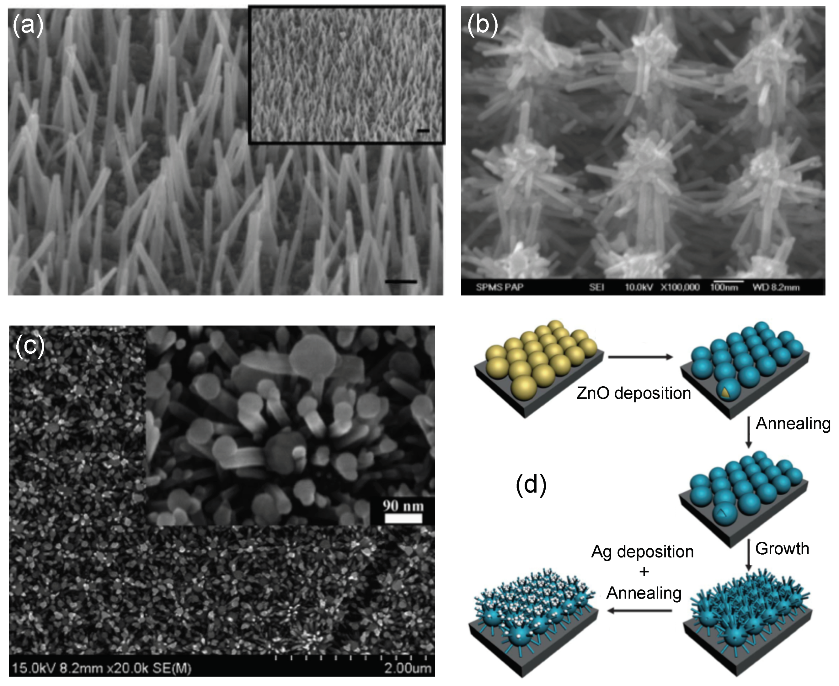 Coatings 09 00086 g003