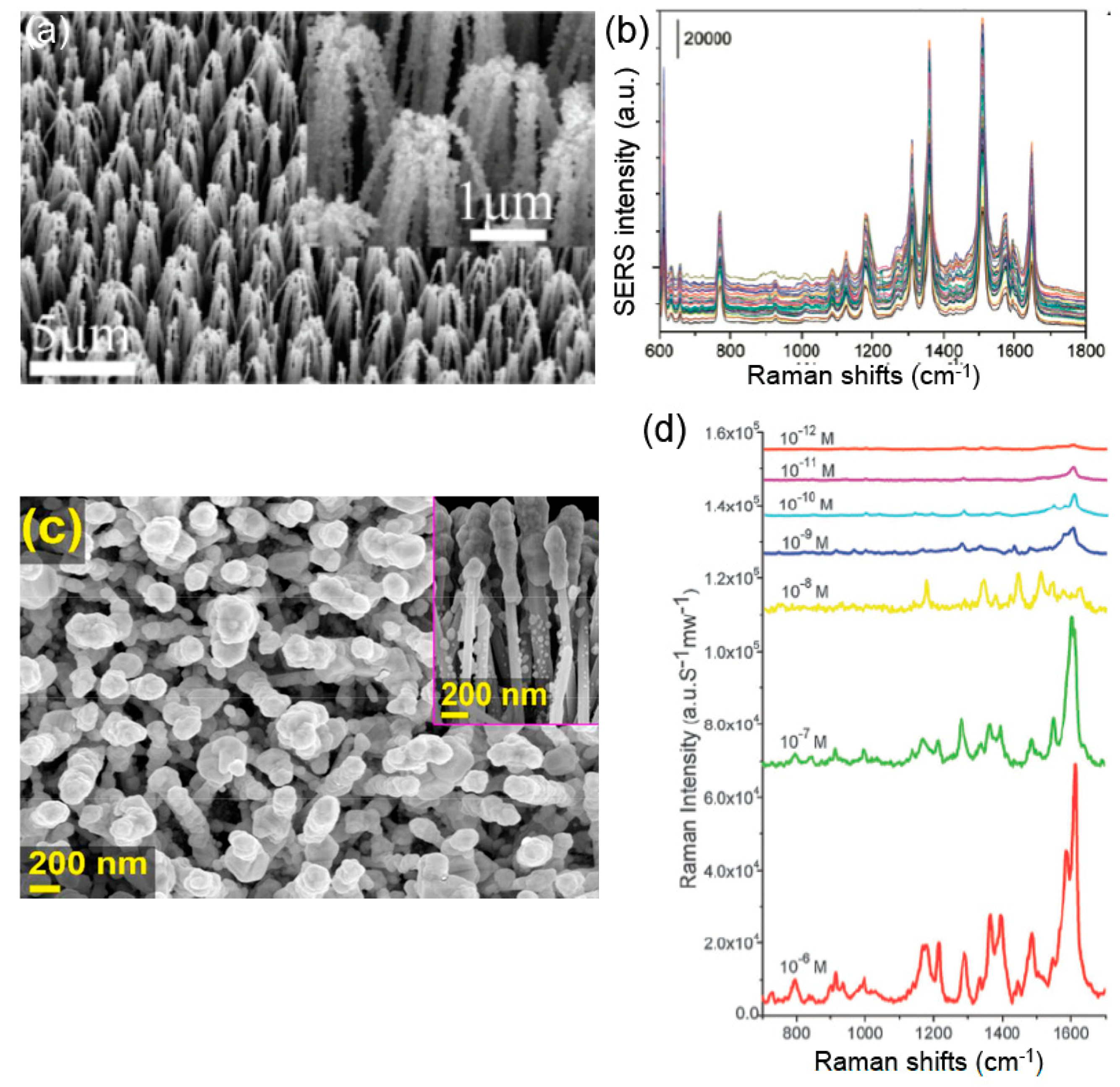 Coatings 09 00086 g004