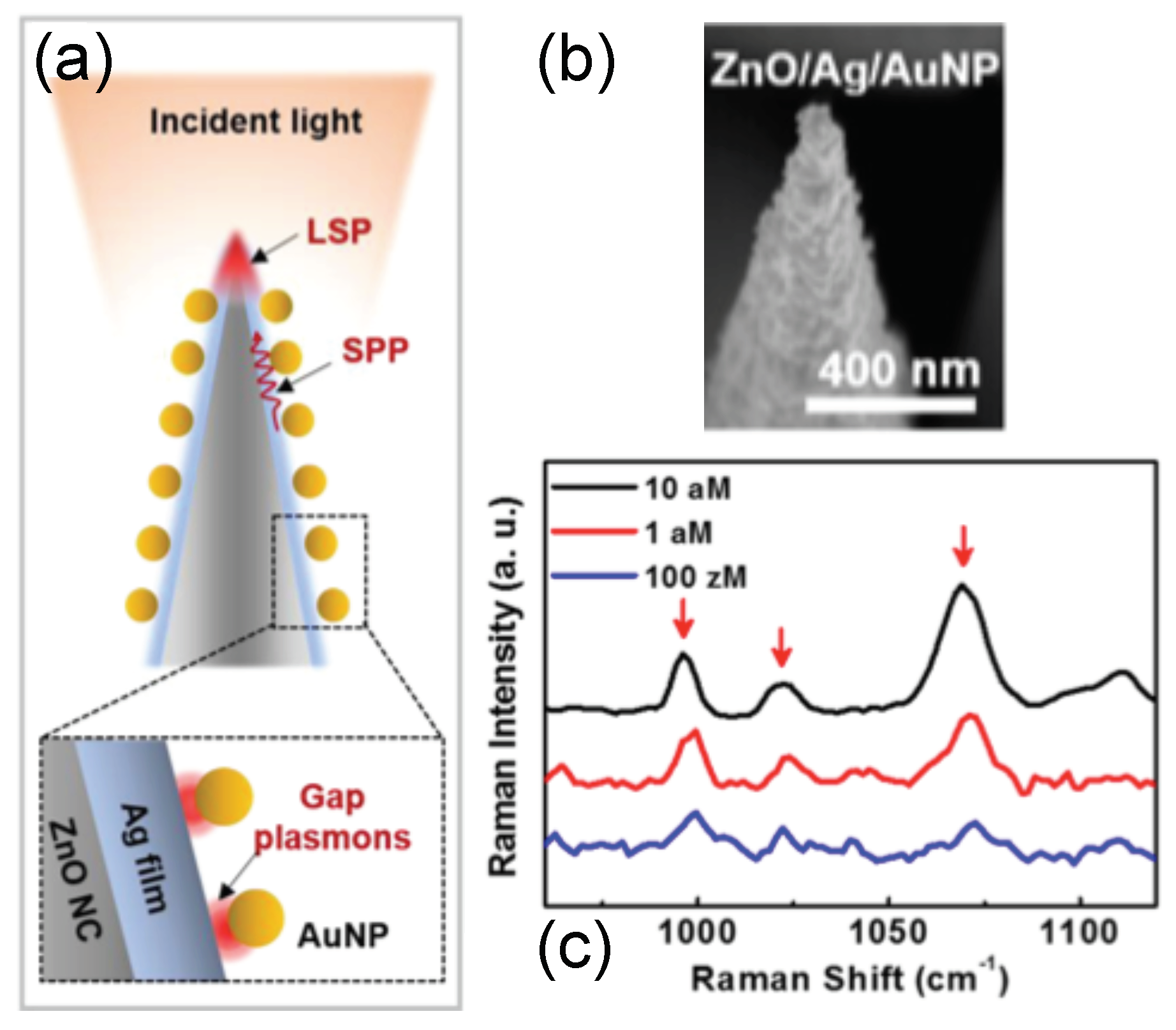 Coatings 09 00086 g005