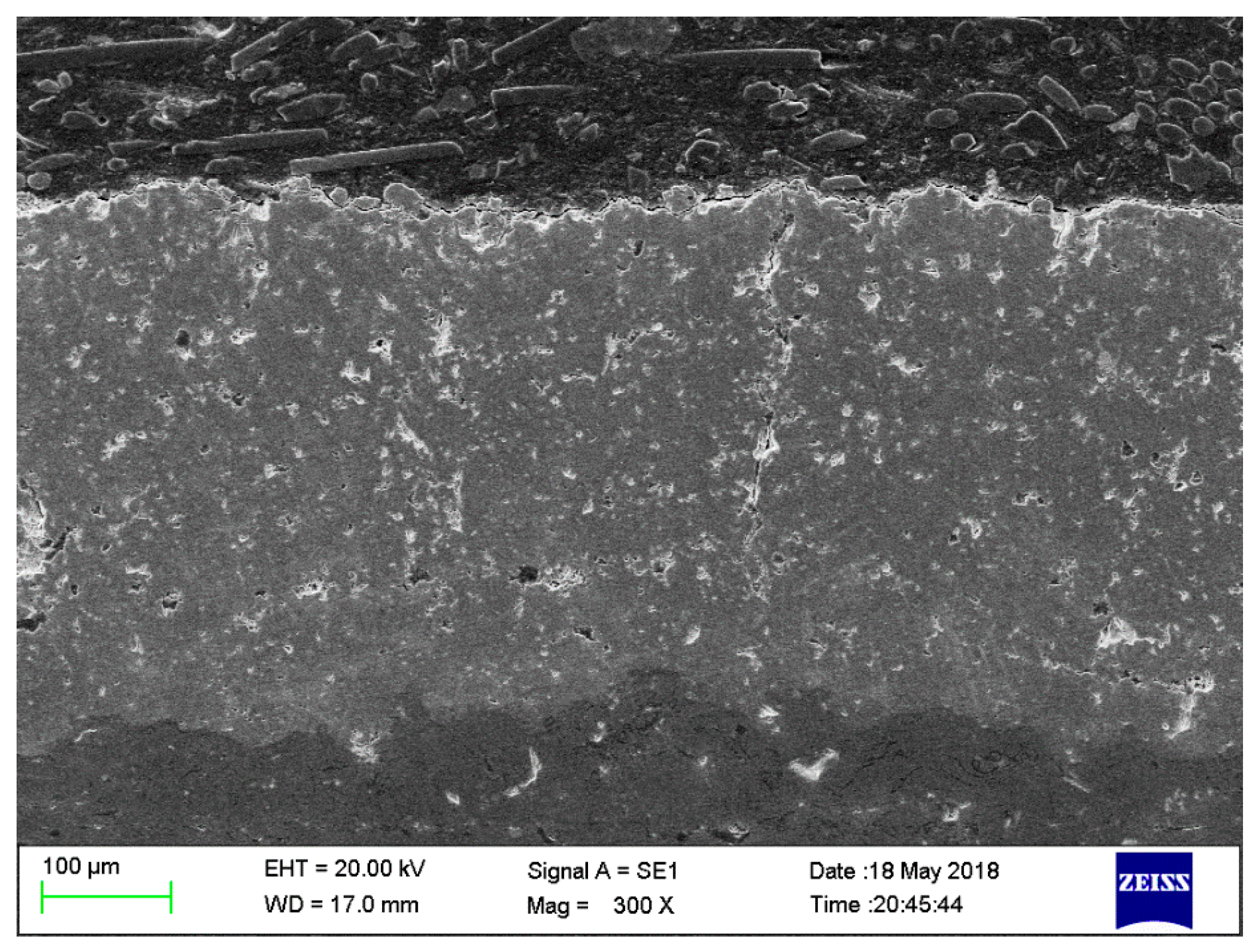 Coatings 09 00089 g006
