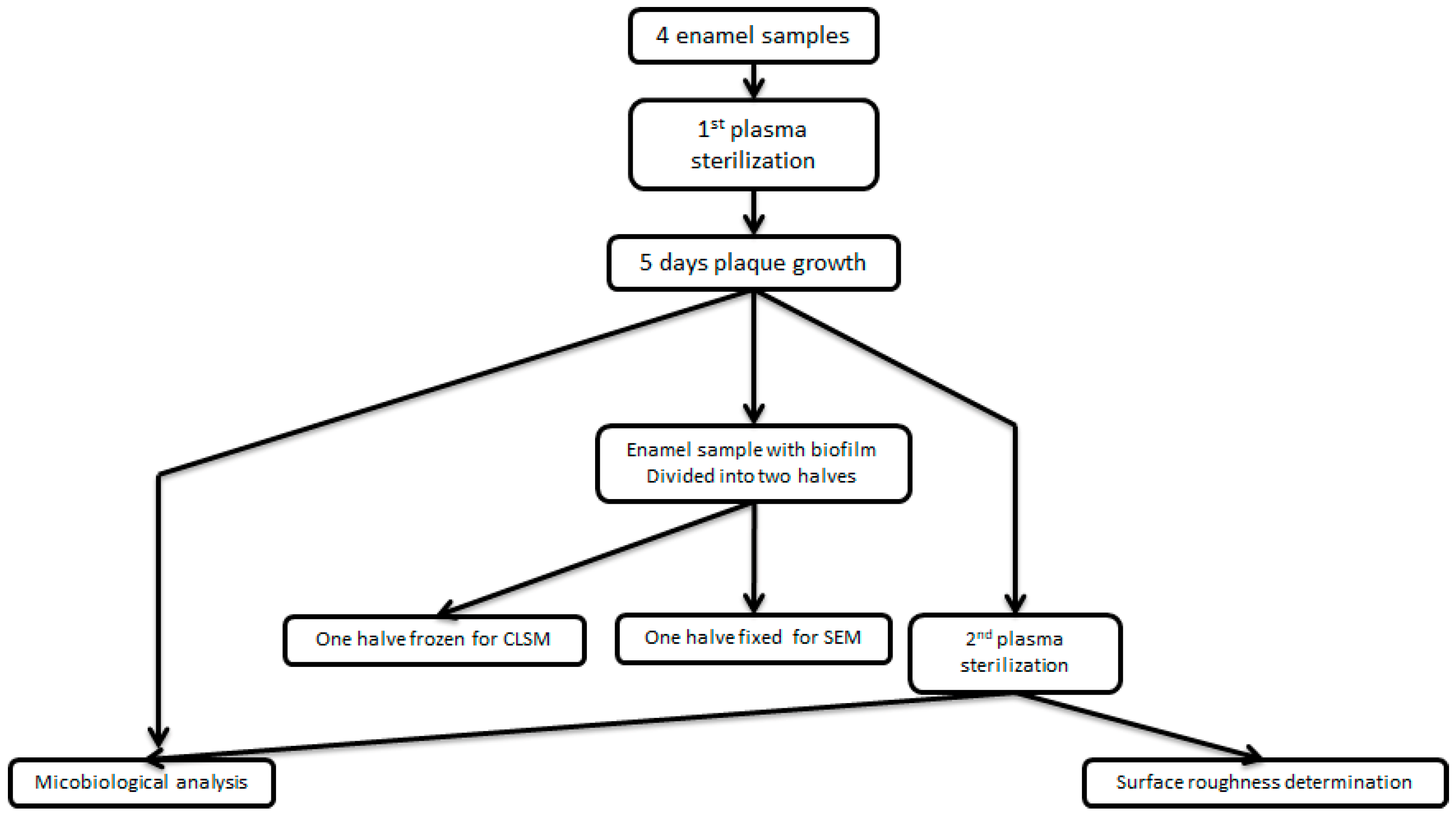 Coatings 09 00099 g001