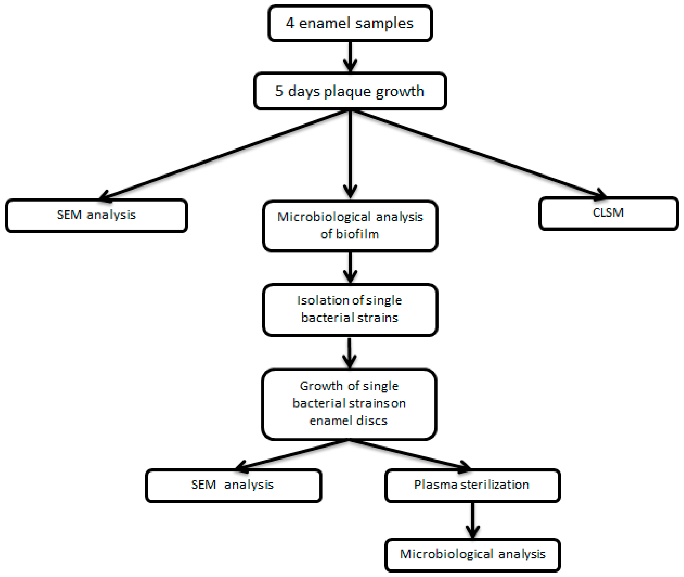 Coatings 09 00099 g002