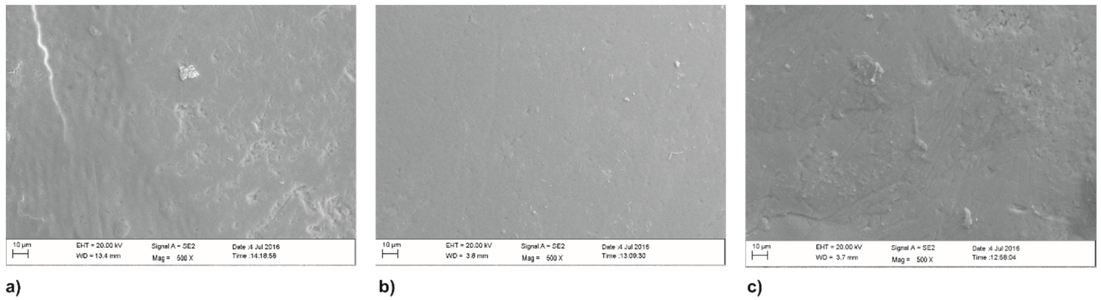 Coatings 09 00099 g003