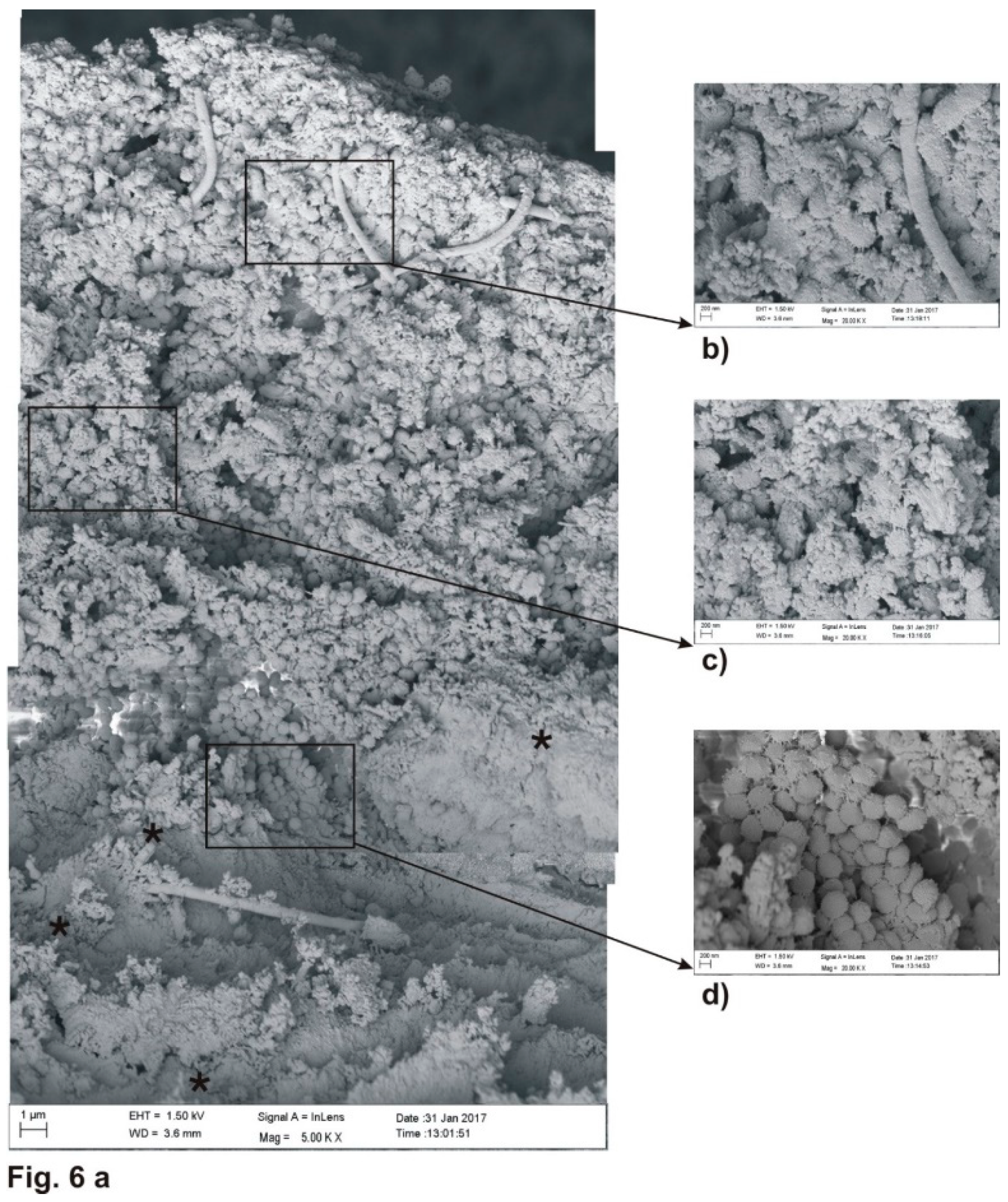 Coatings 09 00099 g006