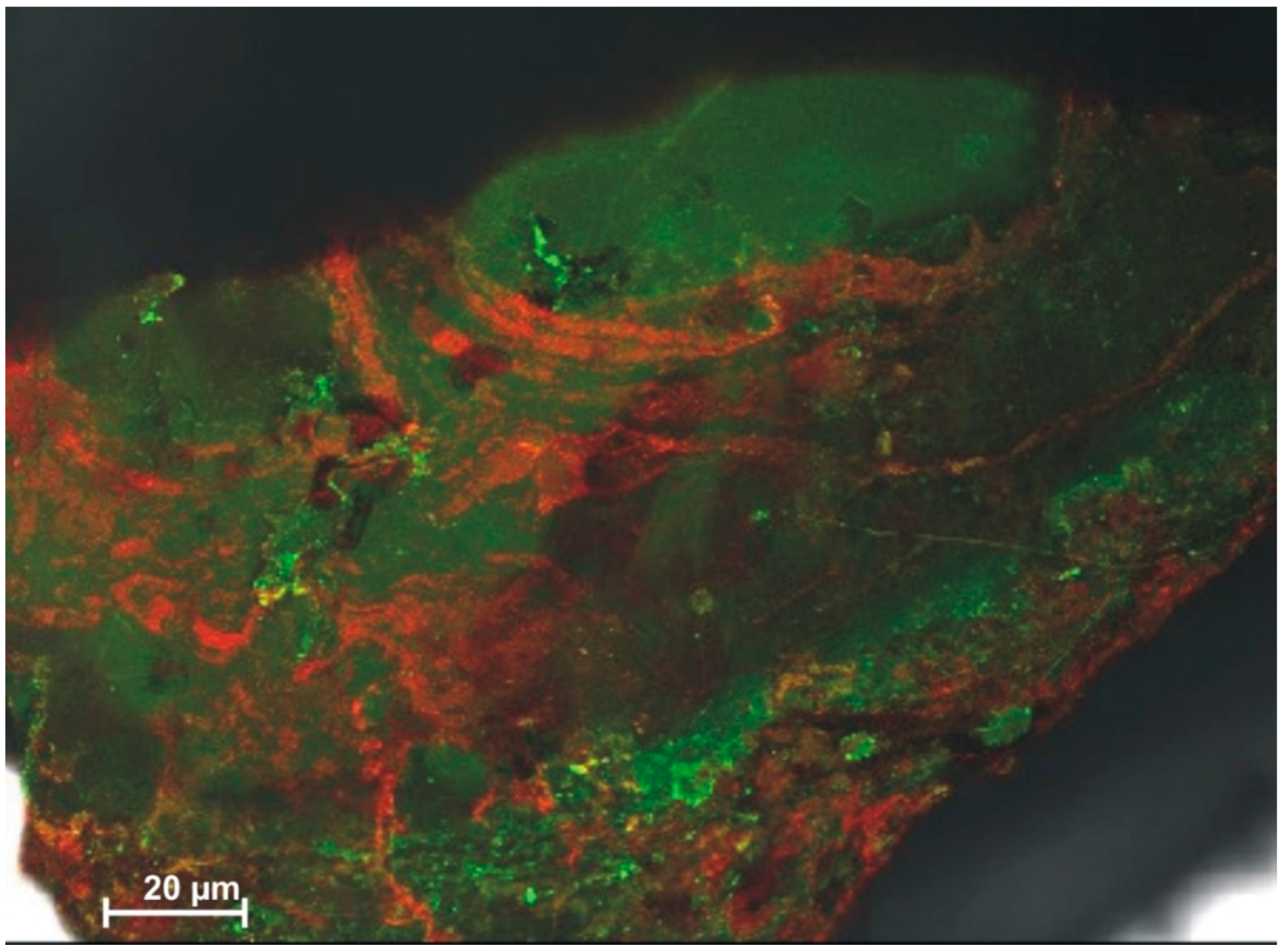 Coatings 09 00099 g007