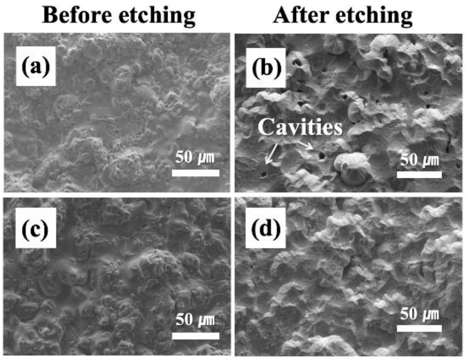 Coatings 09 00102 g002