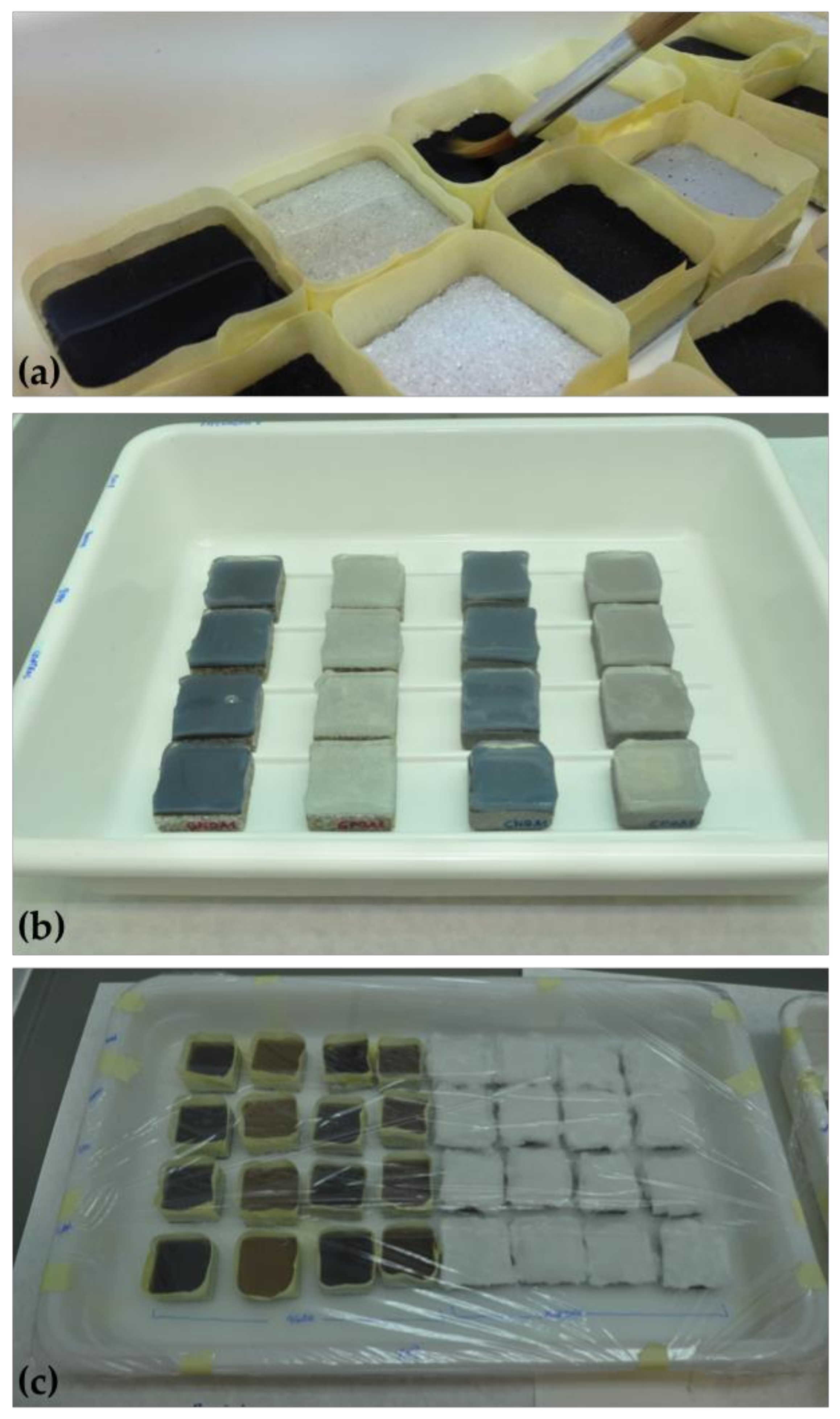 Coatings 09 00104 g005