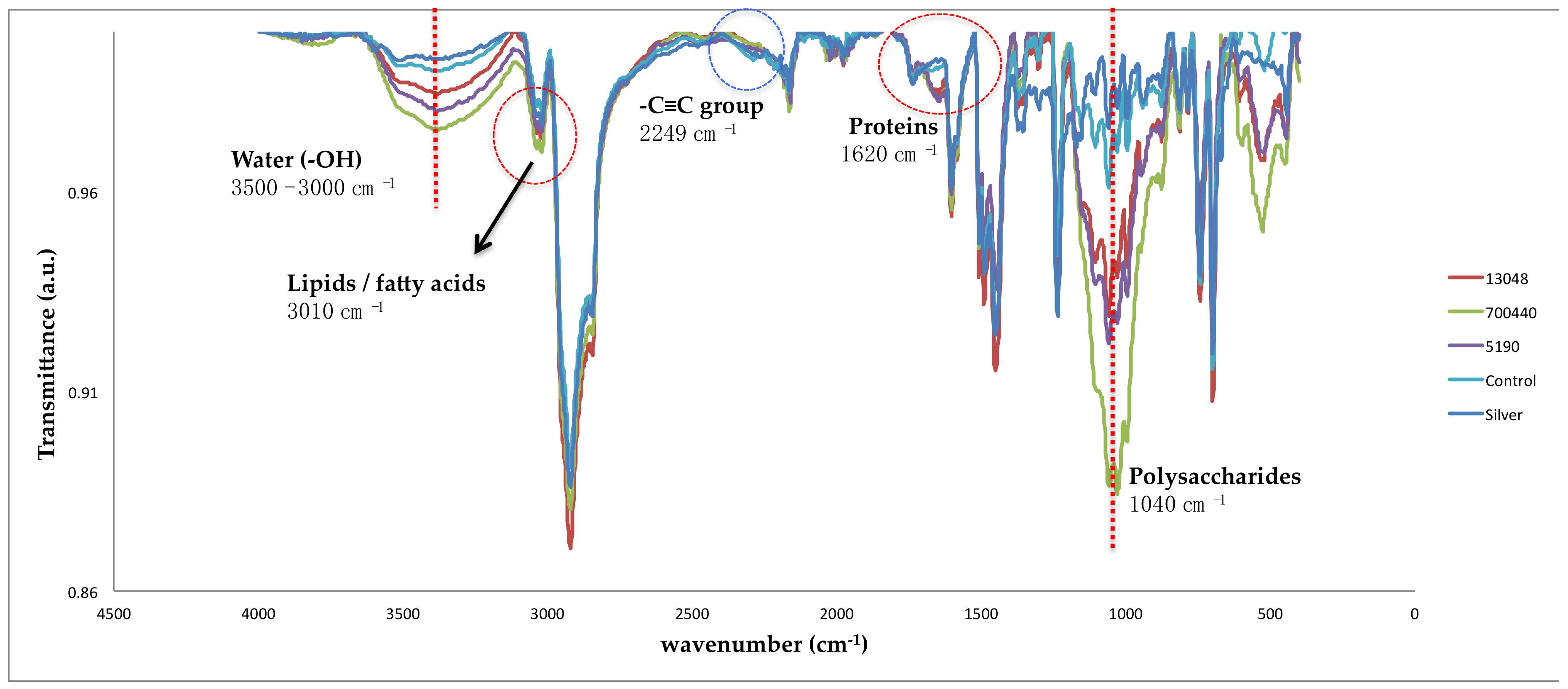 Coatings 09 00104 g007