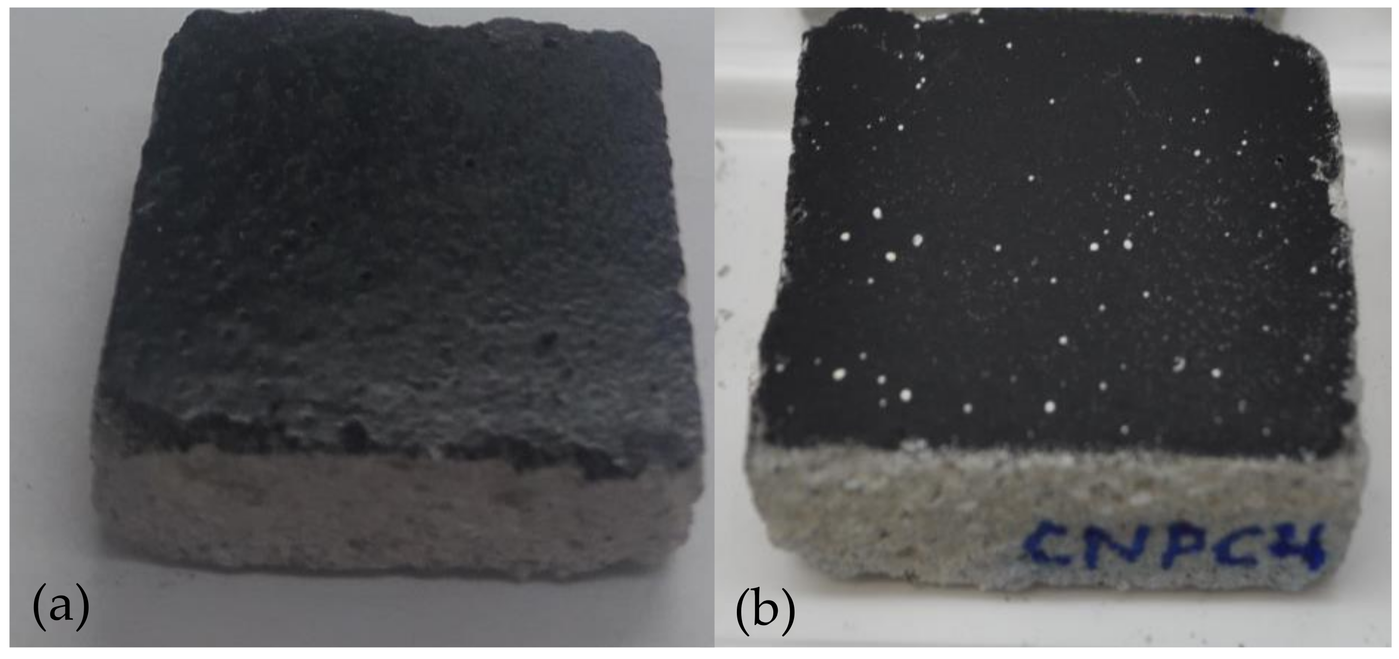 Coatings 09 00104 g009