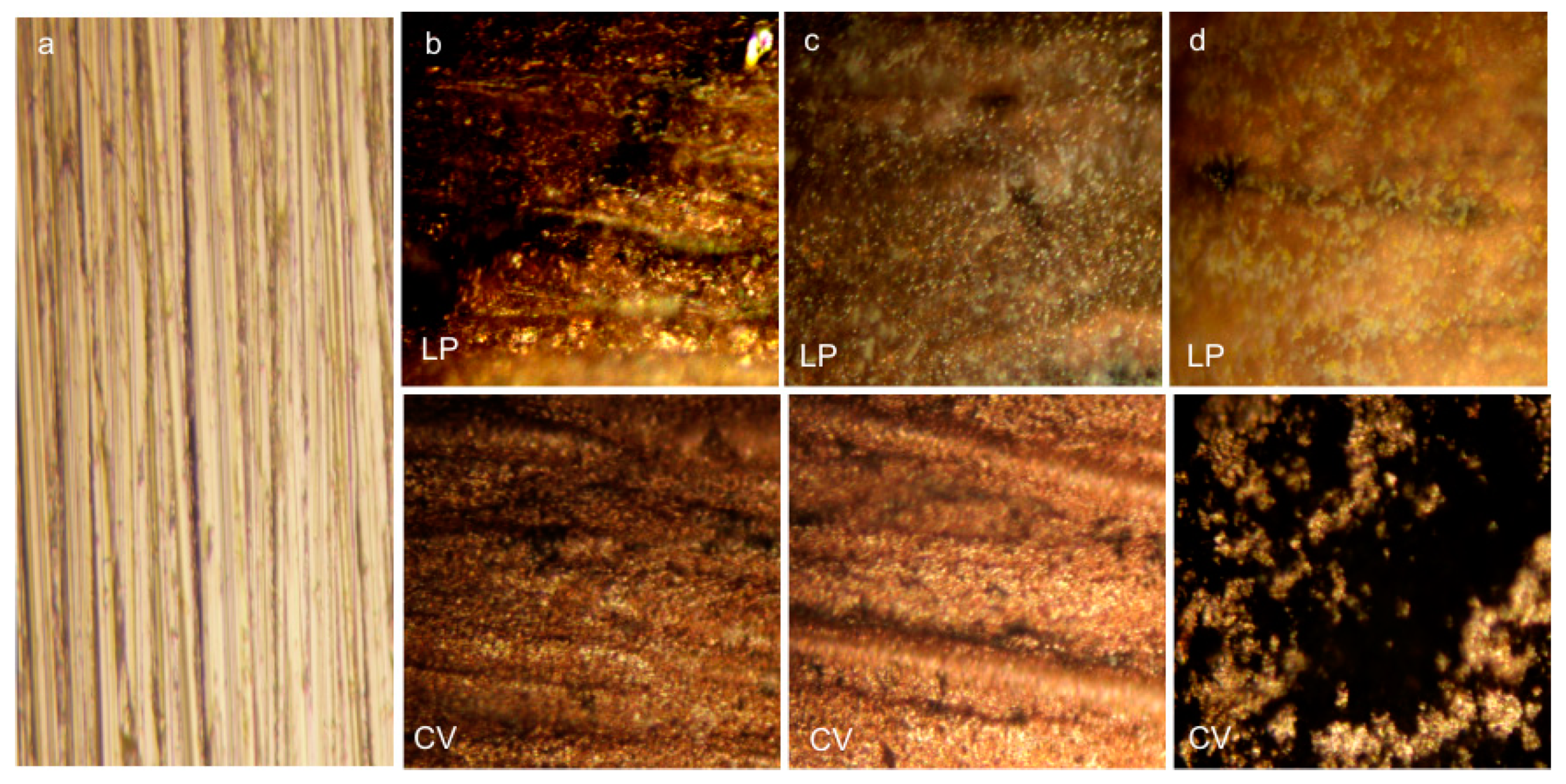Coatings 09 00105 g002