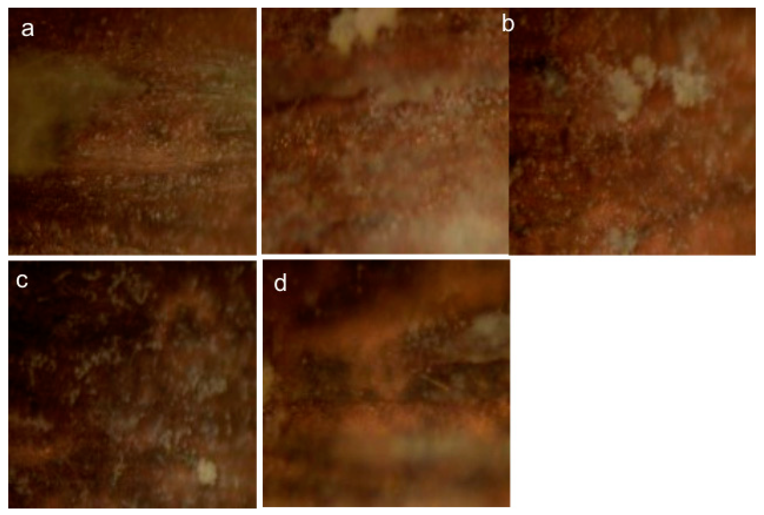 Coatings 09 00105 g003