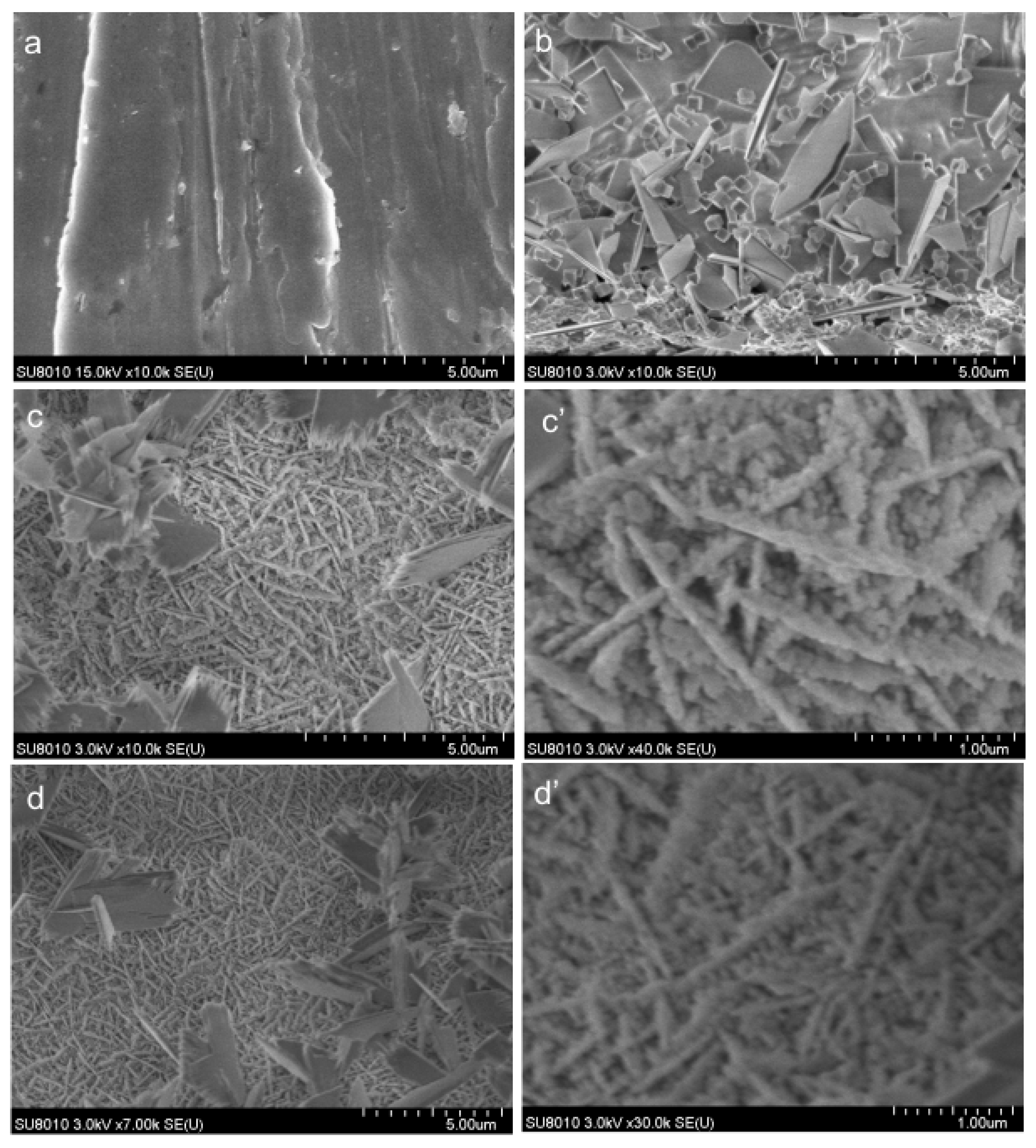 Coatings 09 00105 g006