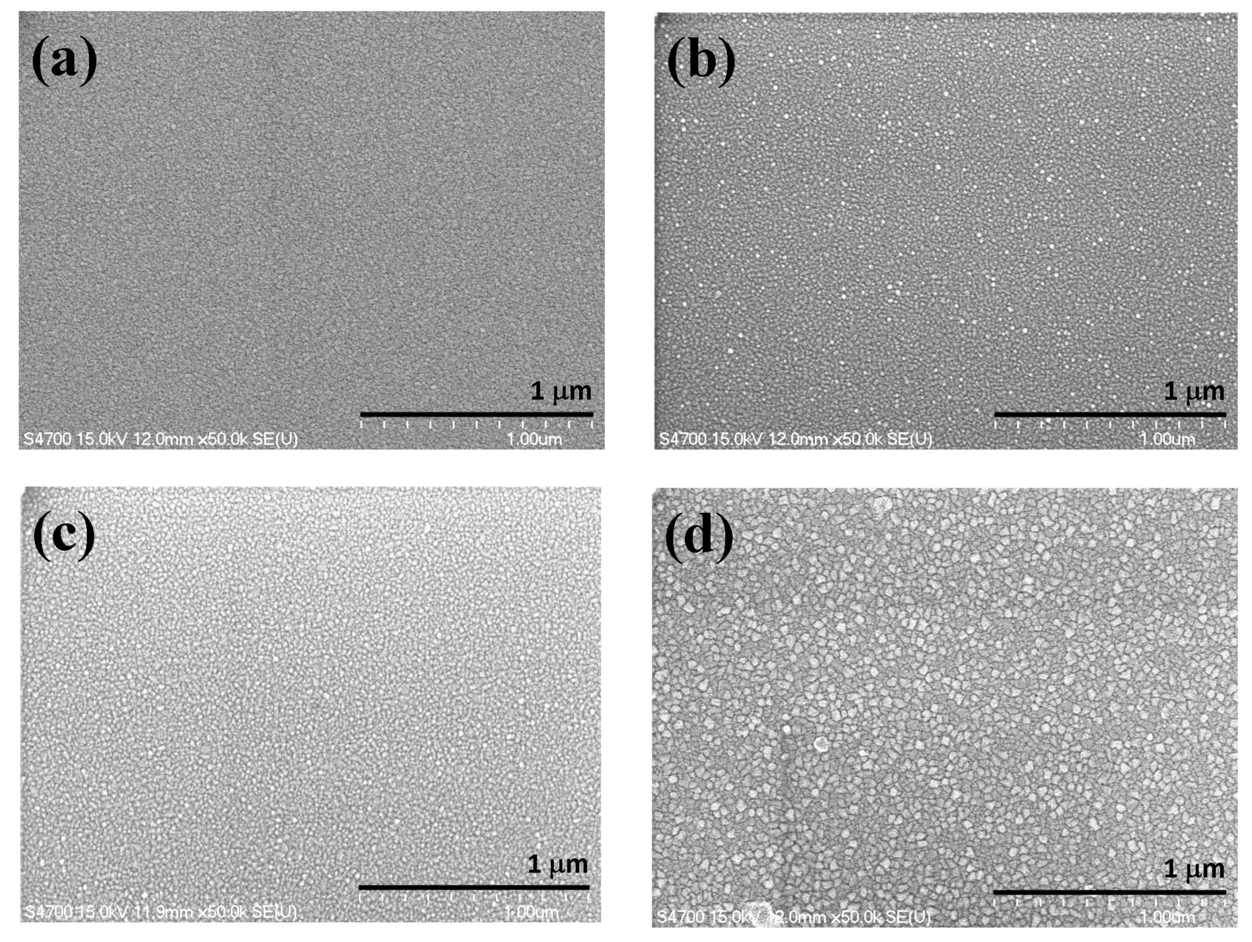 Coatings 09 00107 g003