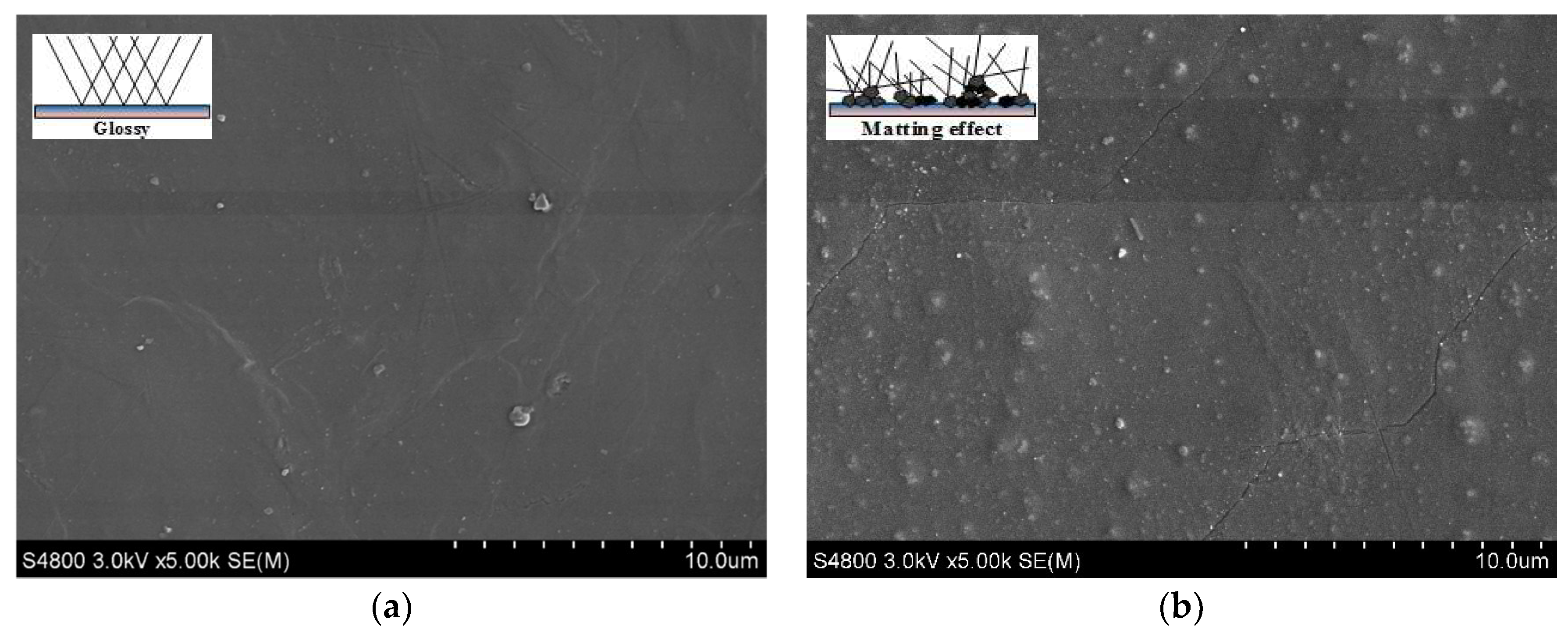 Coatings 09 00110 g006