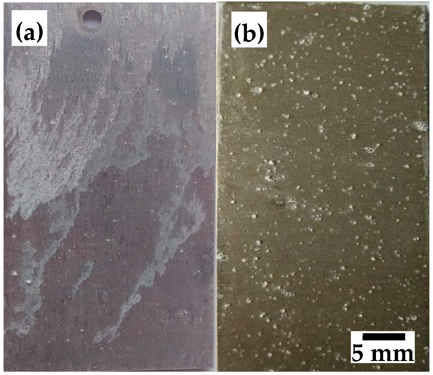 Coatings 09 00113 g003