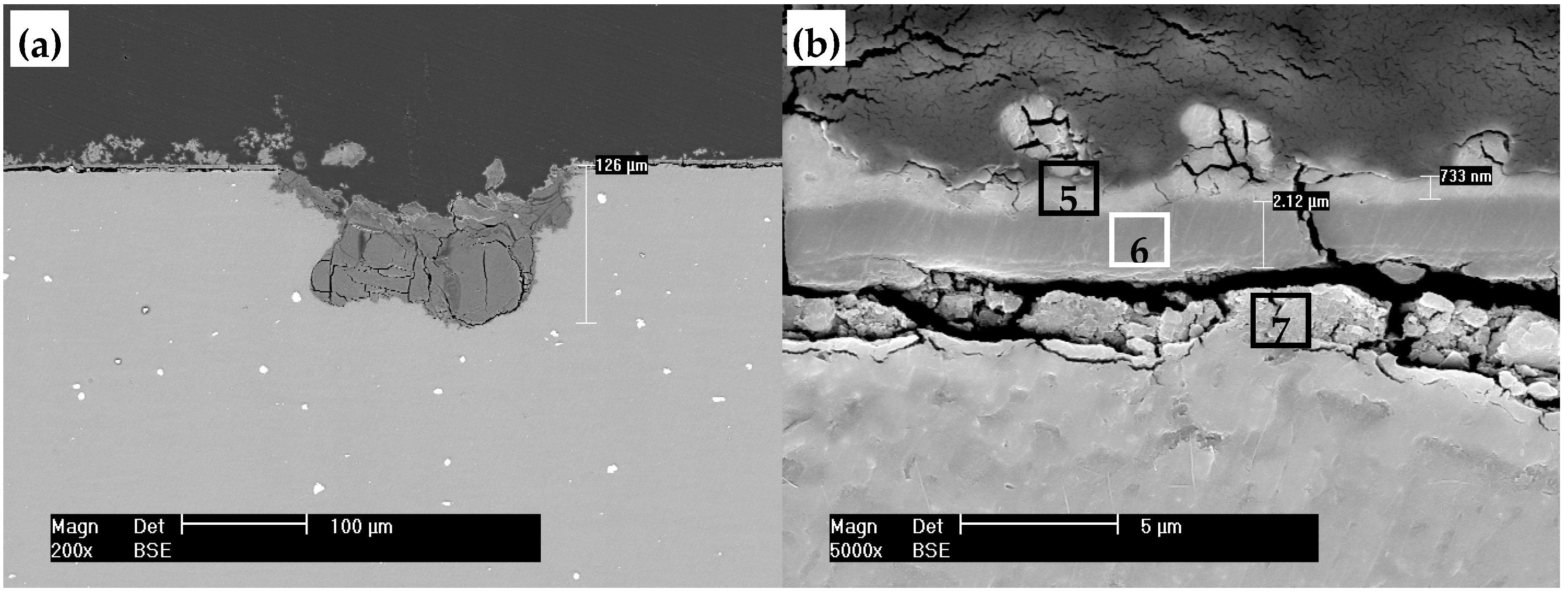 Coatings 09 00113 g005