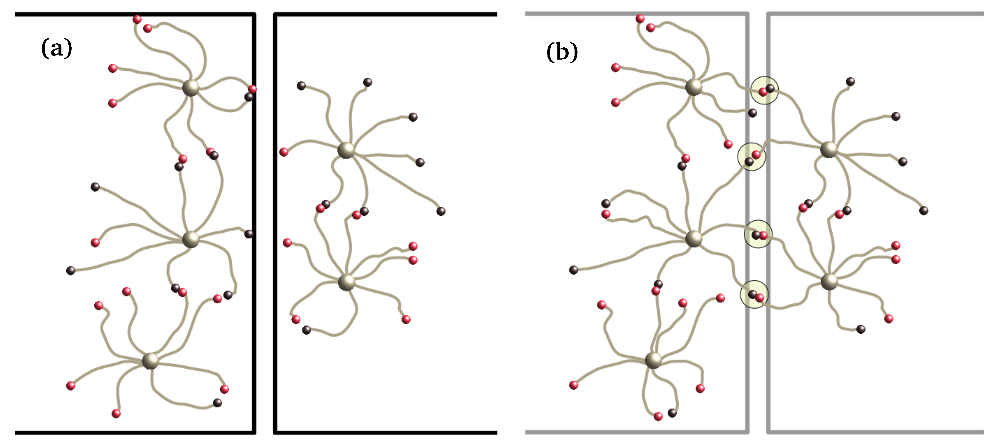 Coatings 09 00114 g001