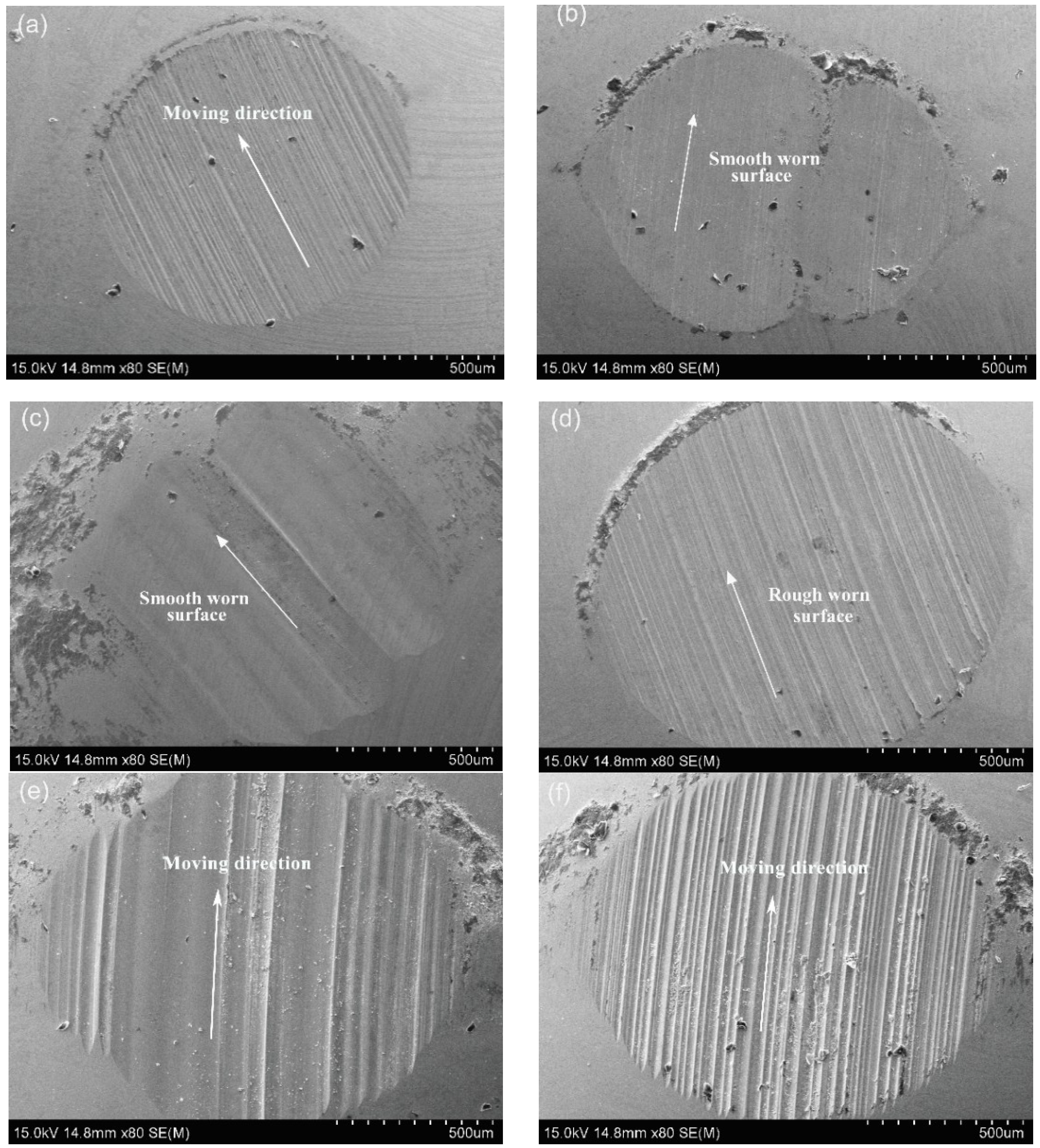 Coatings 09 00116 g010 Coatings 09 00116 g010