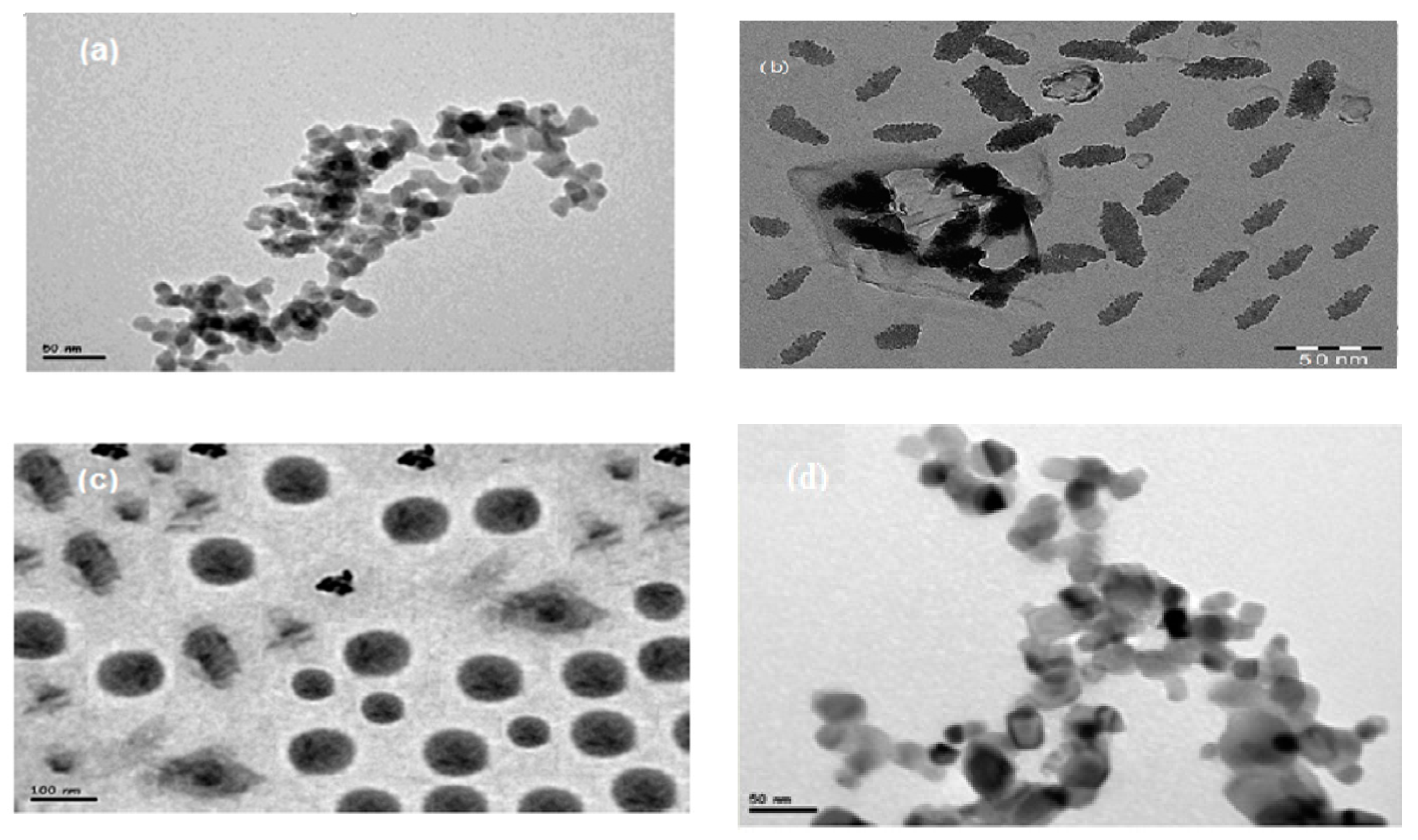 Coatings 09 00124 g004