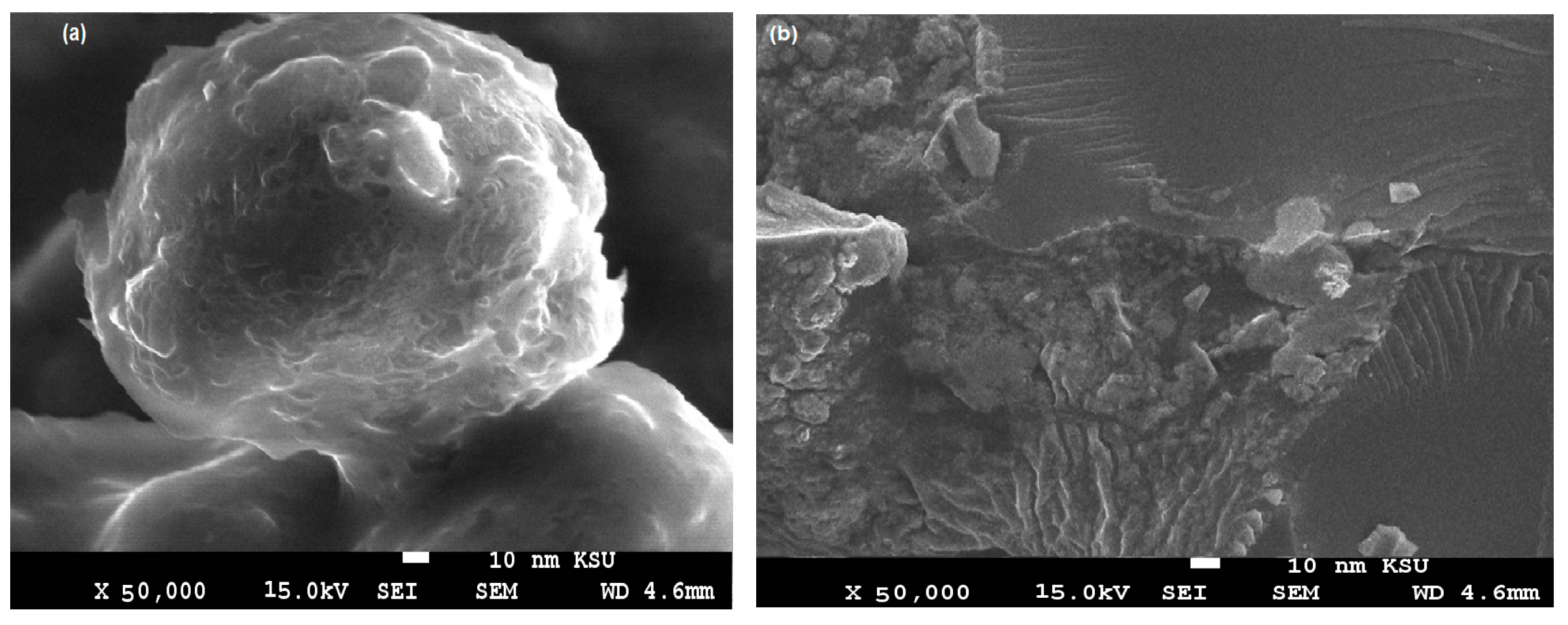 Coatings 09 00124 g005