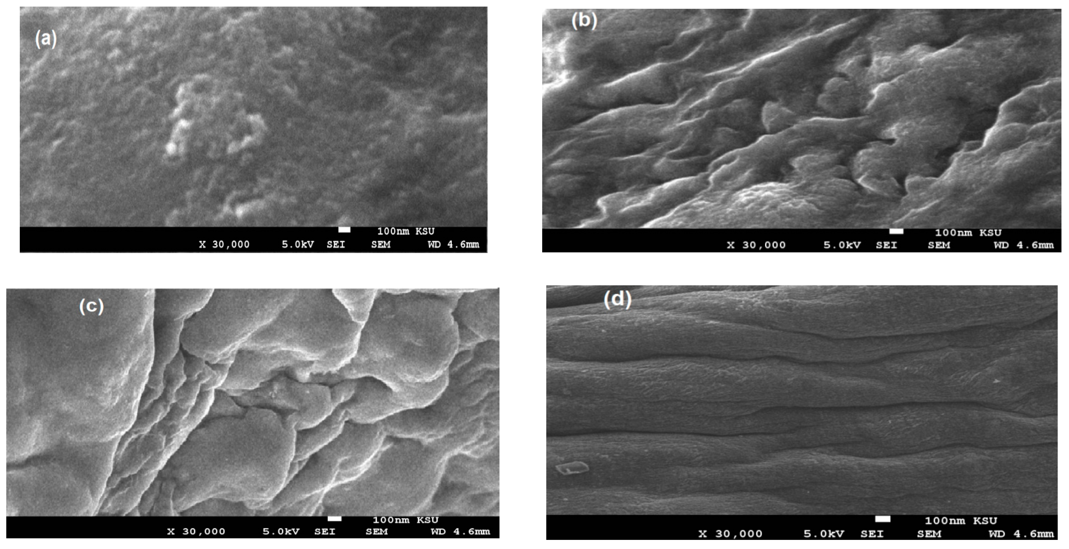 Coatings 09 00124 g007