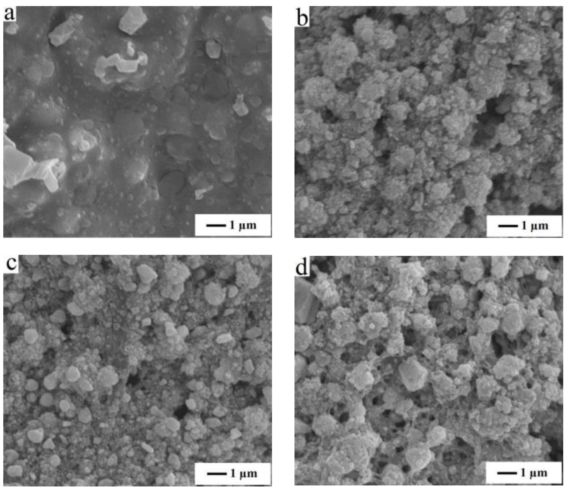 Coatings 09 00130 g002