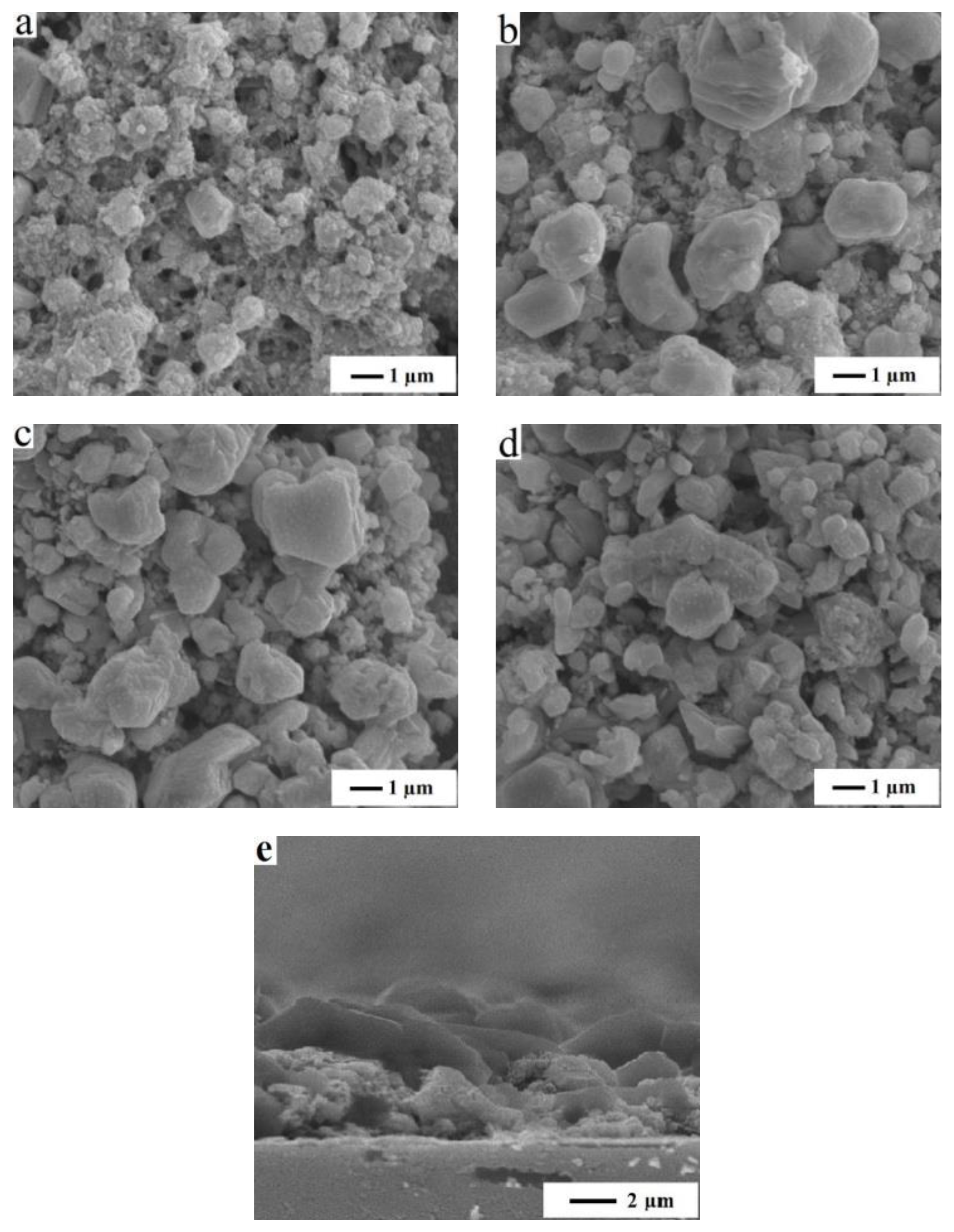 Coatings 09 00130 g006