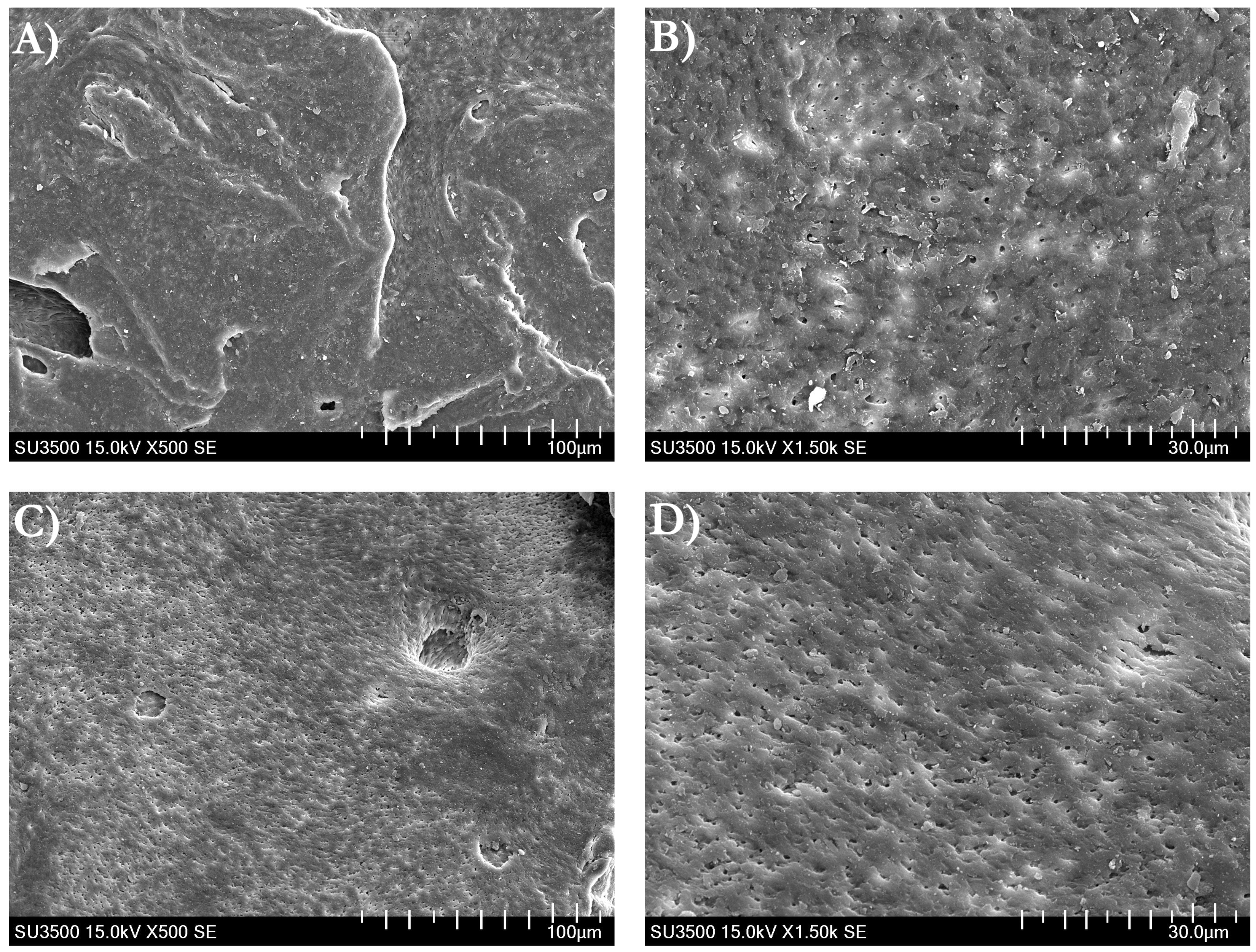 Coatings 09 00134 g001